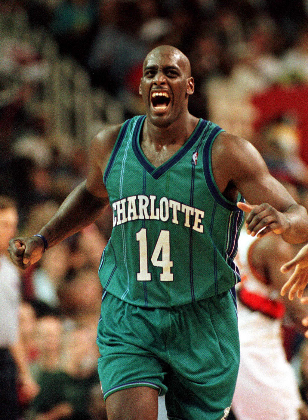 Anthony Mason photo