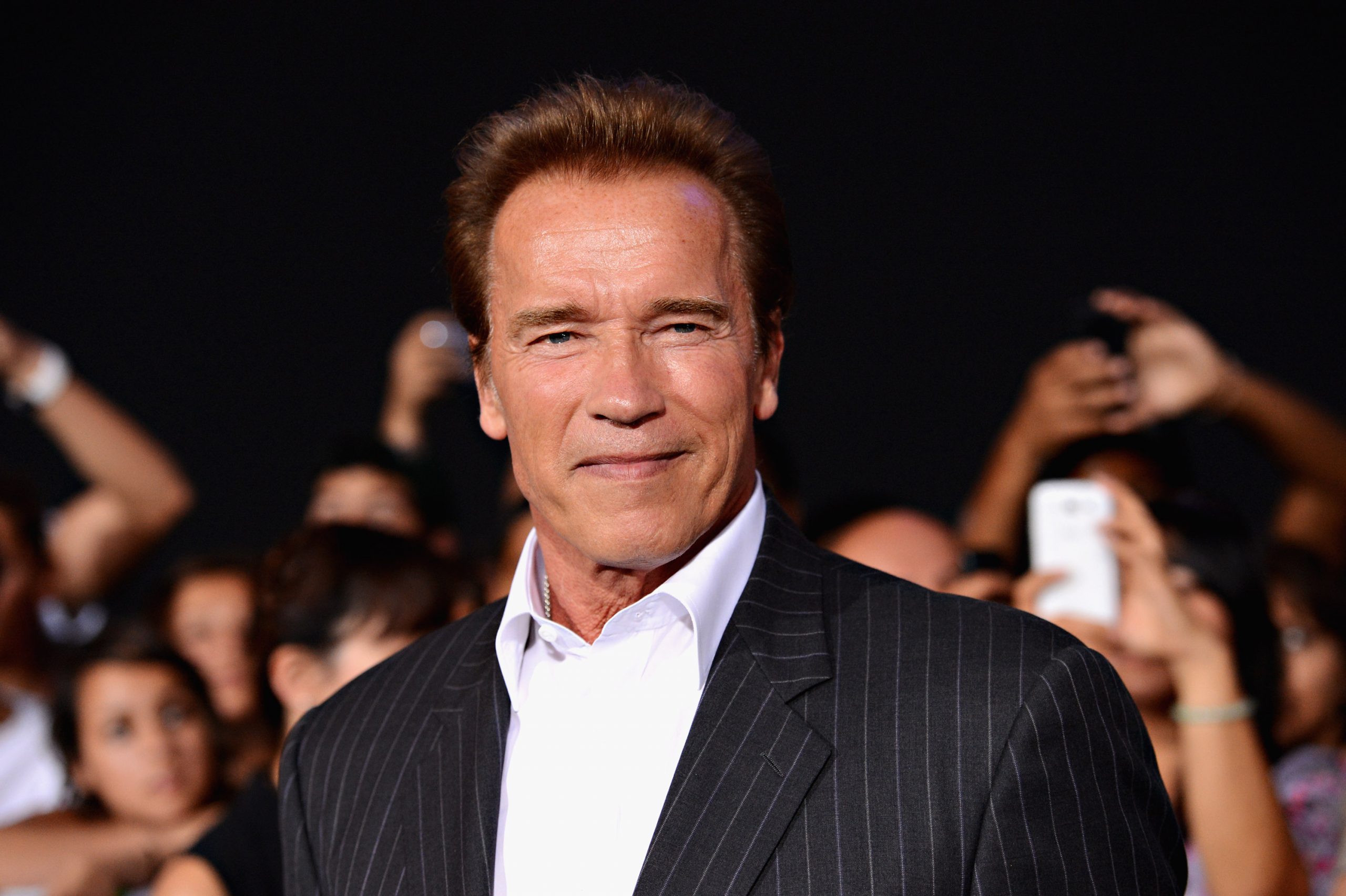 Arnold Schwarzenegger photo 2