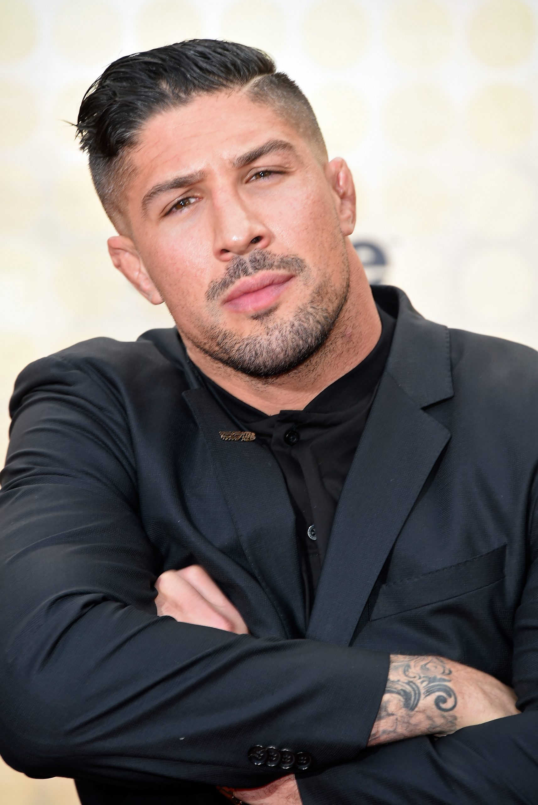 Brendan Schaub photo