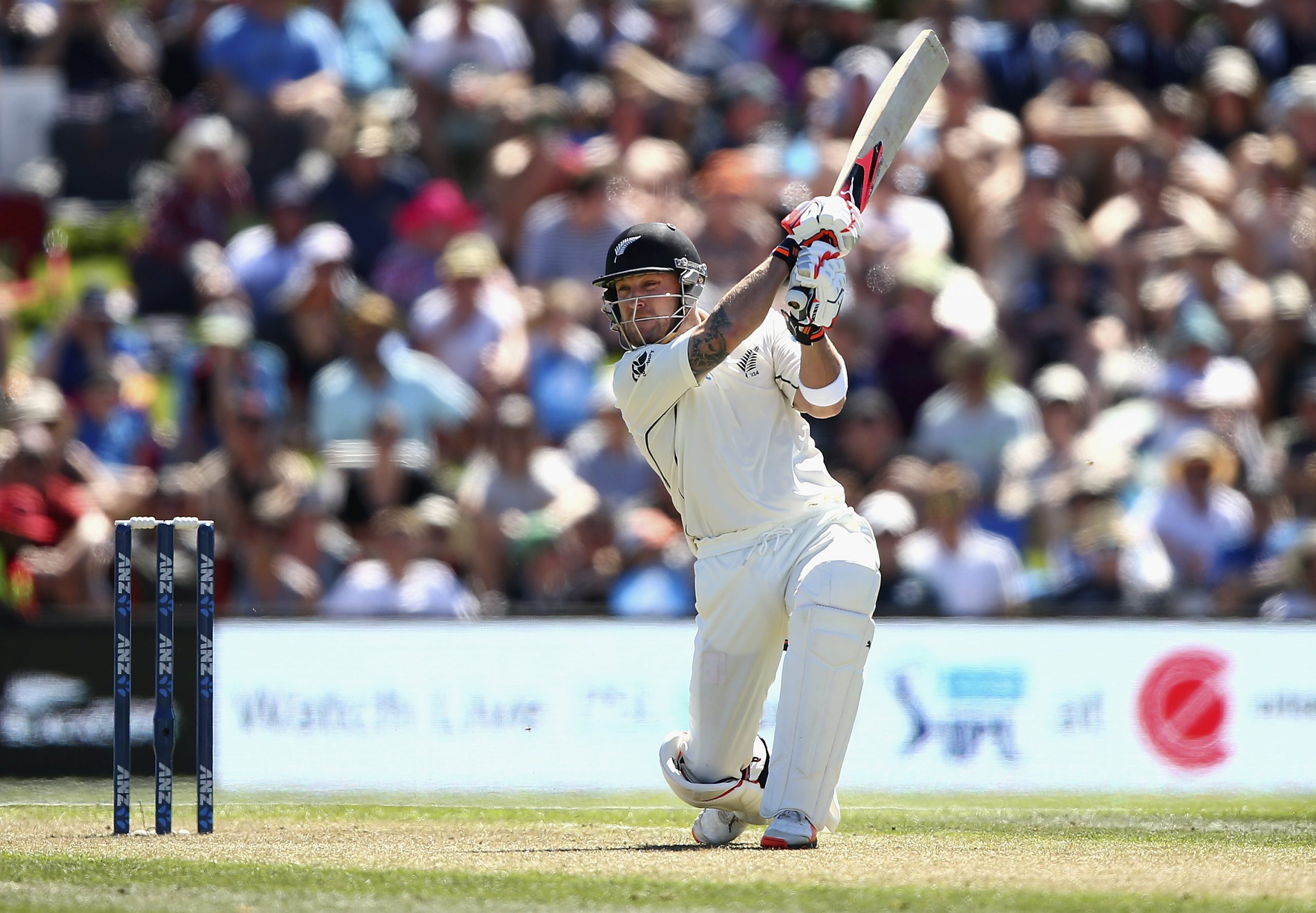 Brendon McCullum photo 2