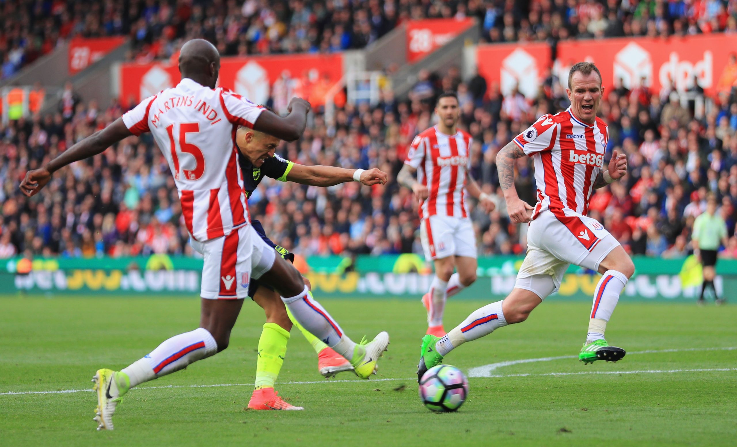 Bruno Martins Indi photo