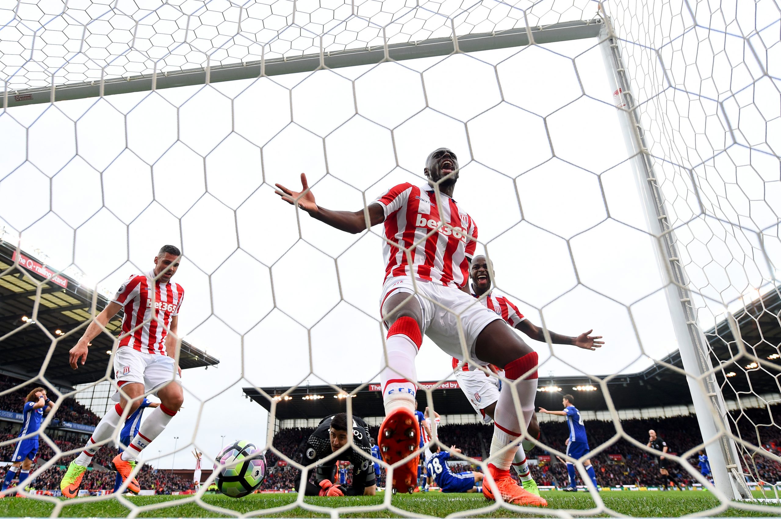 Bruno Martins Indi photo 2