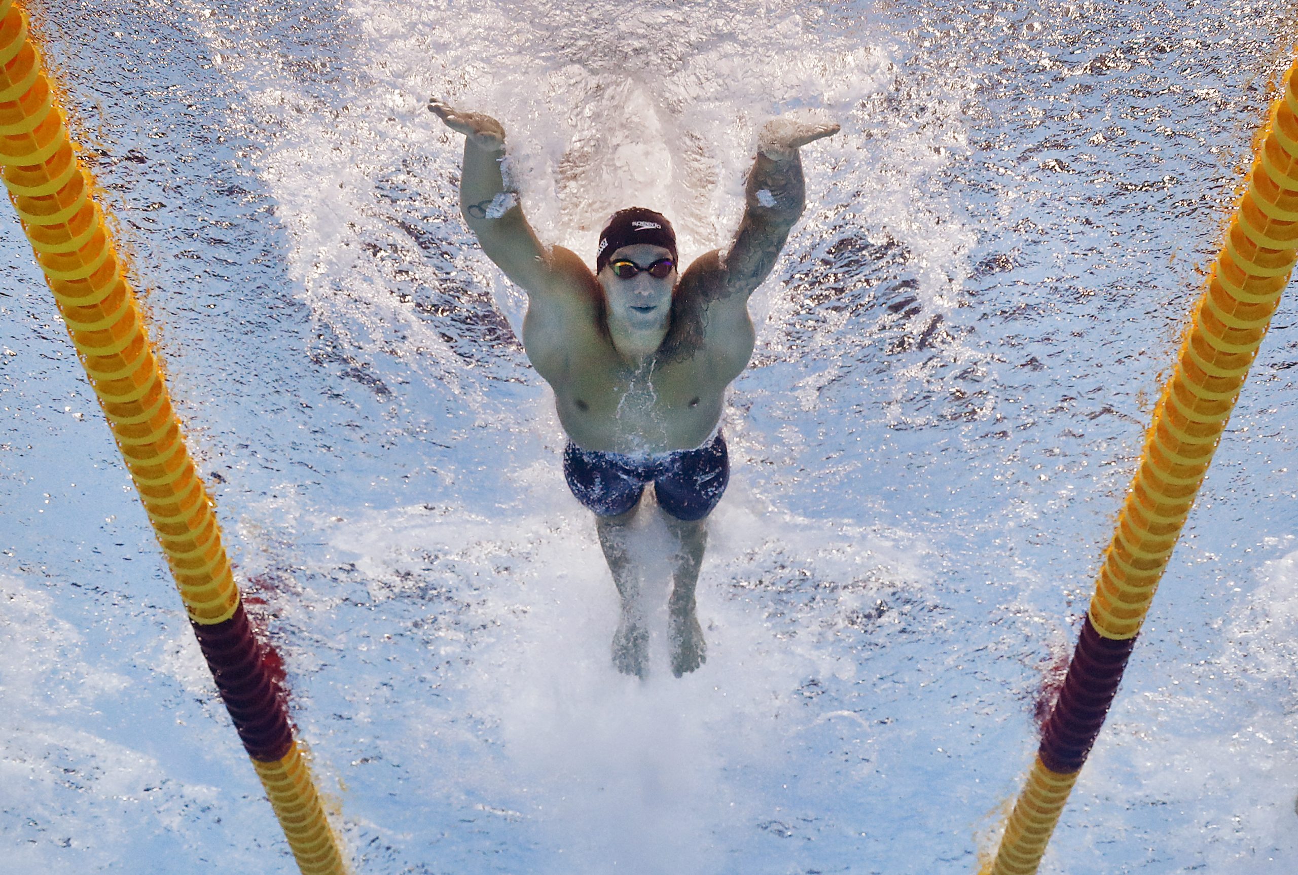 Caeleb Dressel photo