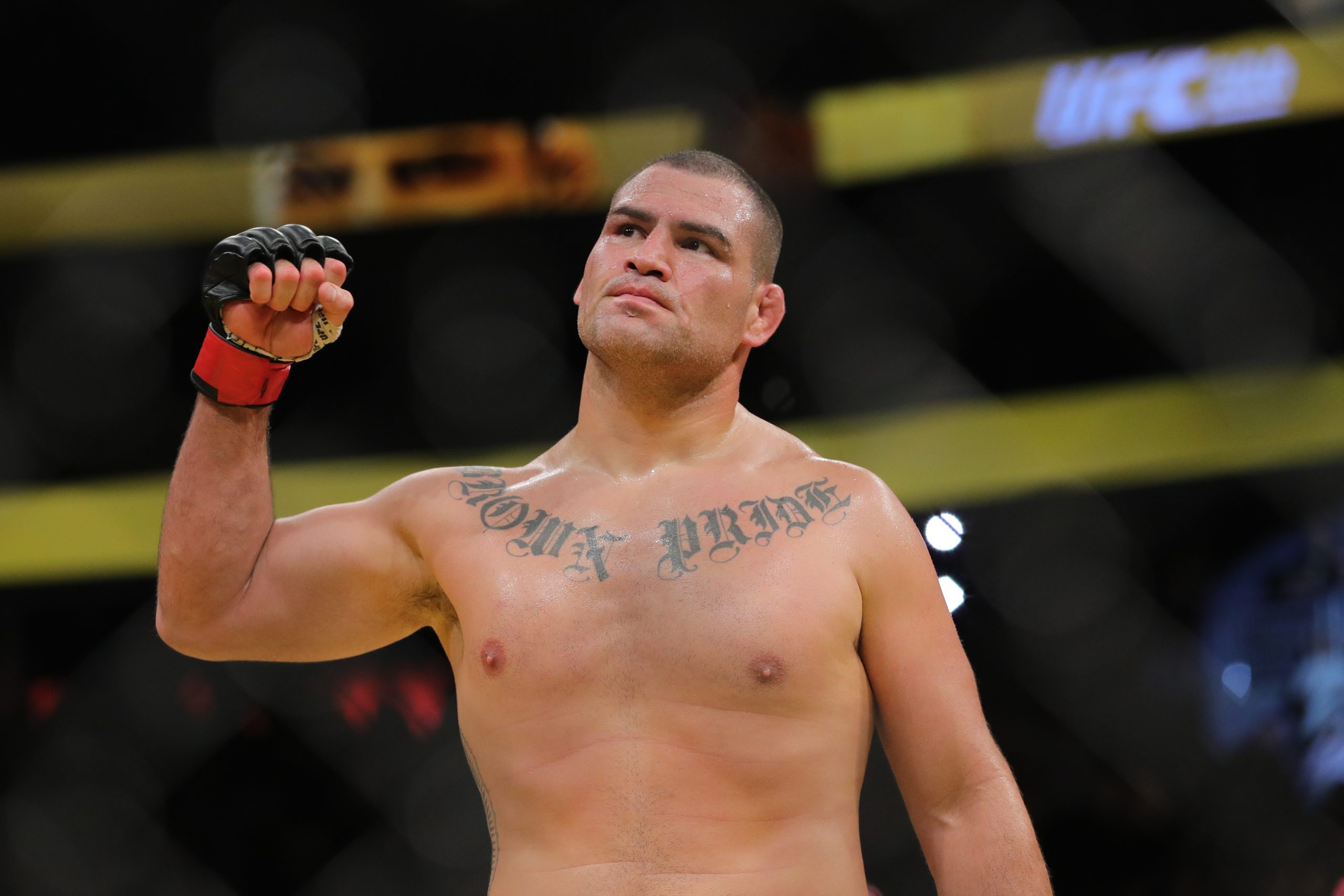 Cain Velasquez photo