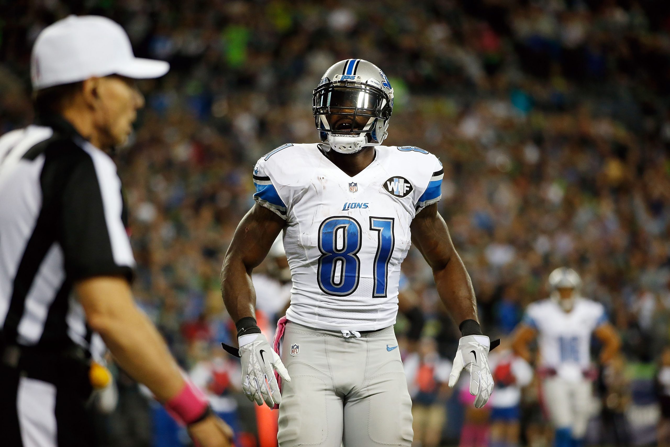 Calvin Johnson photo