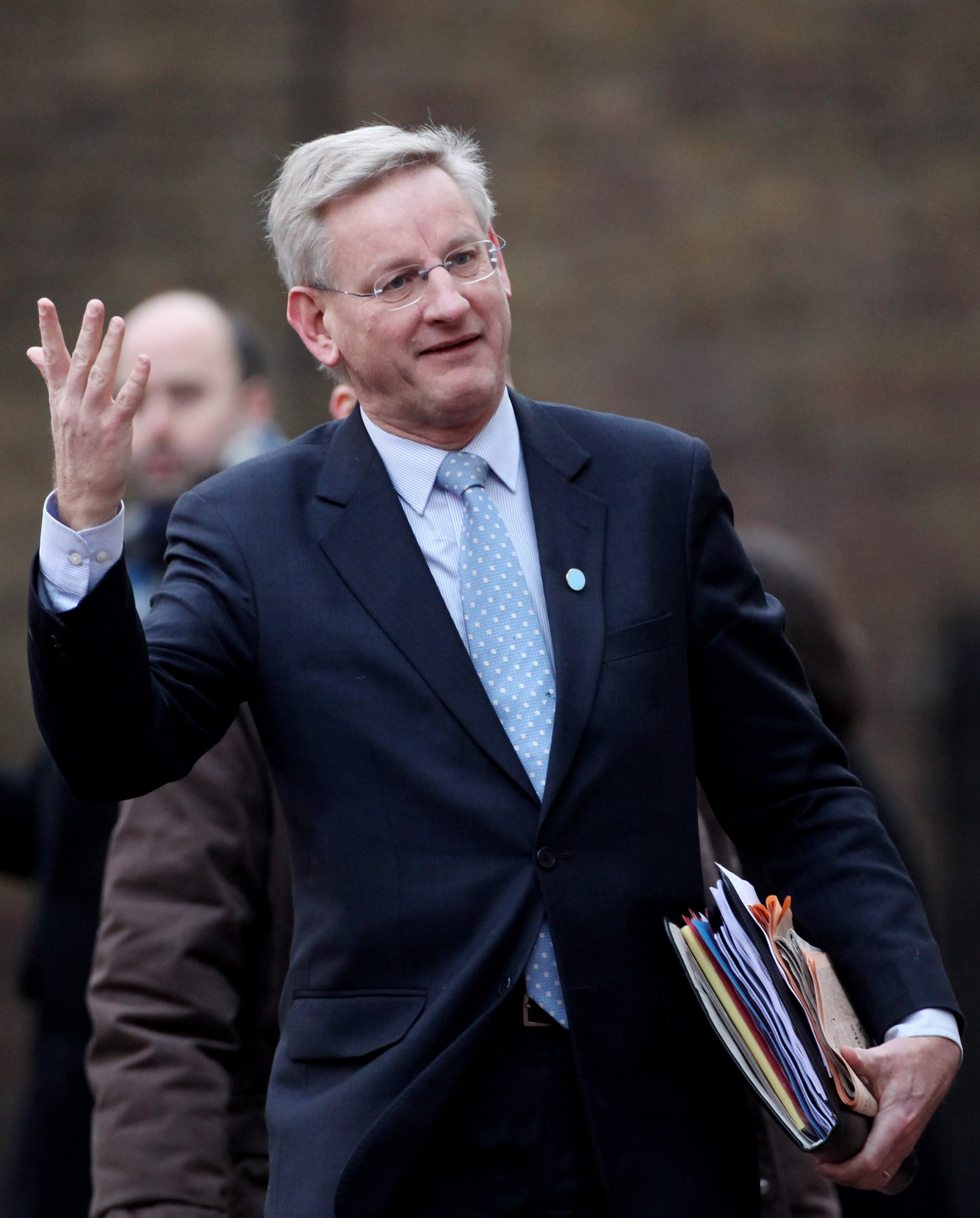 Carl Bildt photo