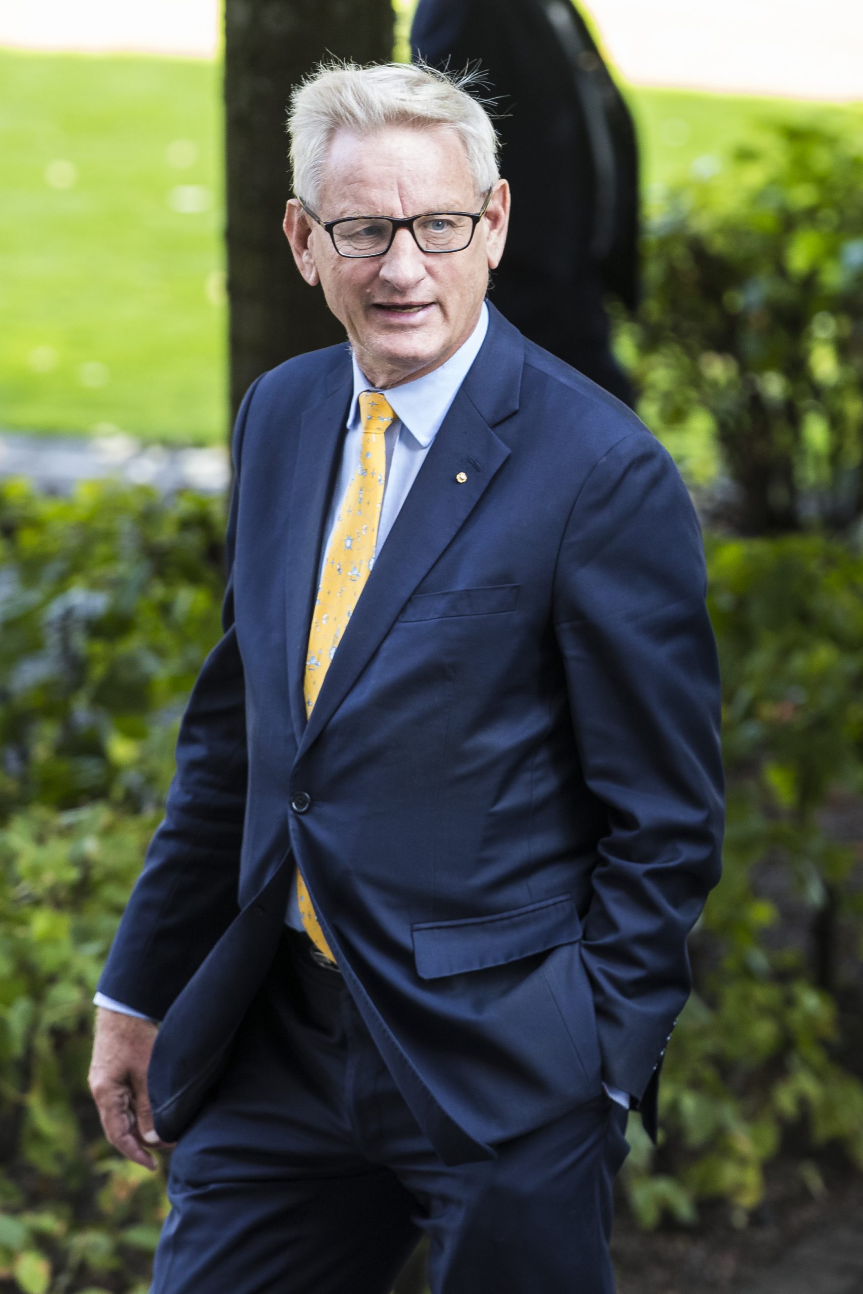 Carl Bildt photo 2