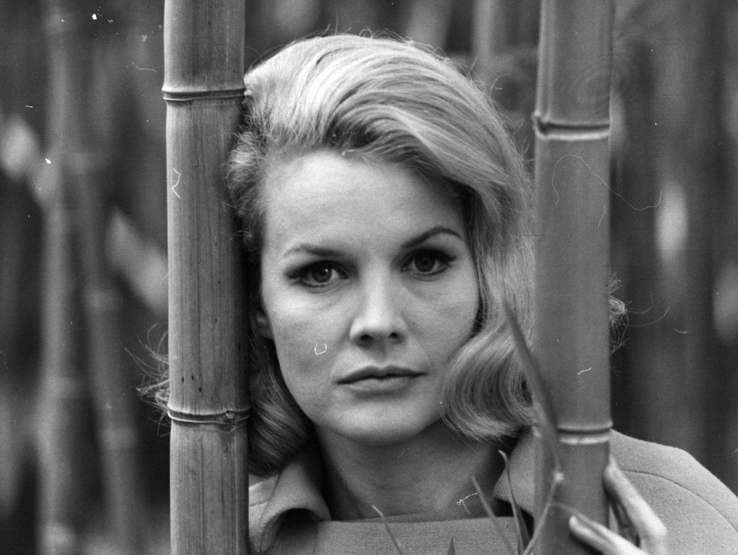 Carroll Baker photo