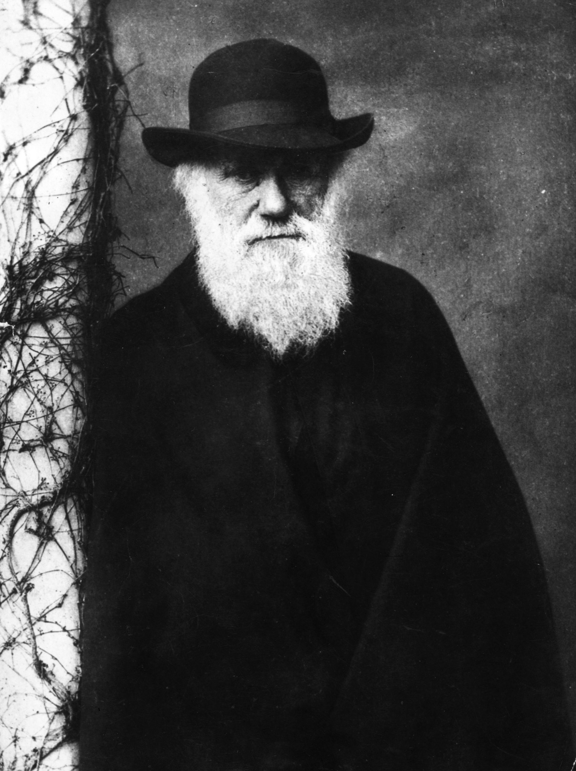 Charles Darwin photo 2