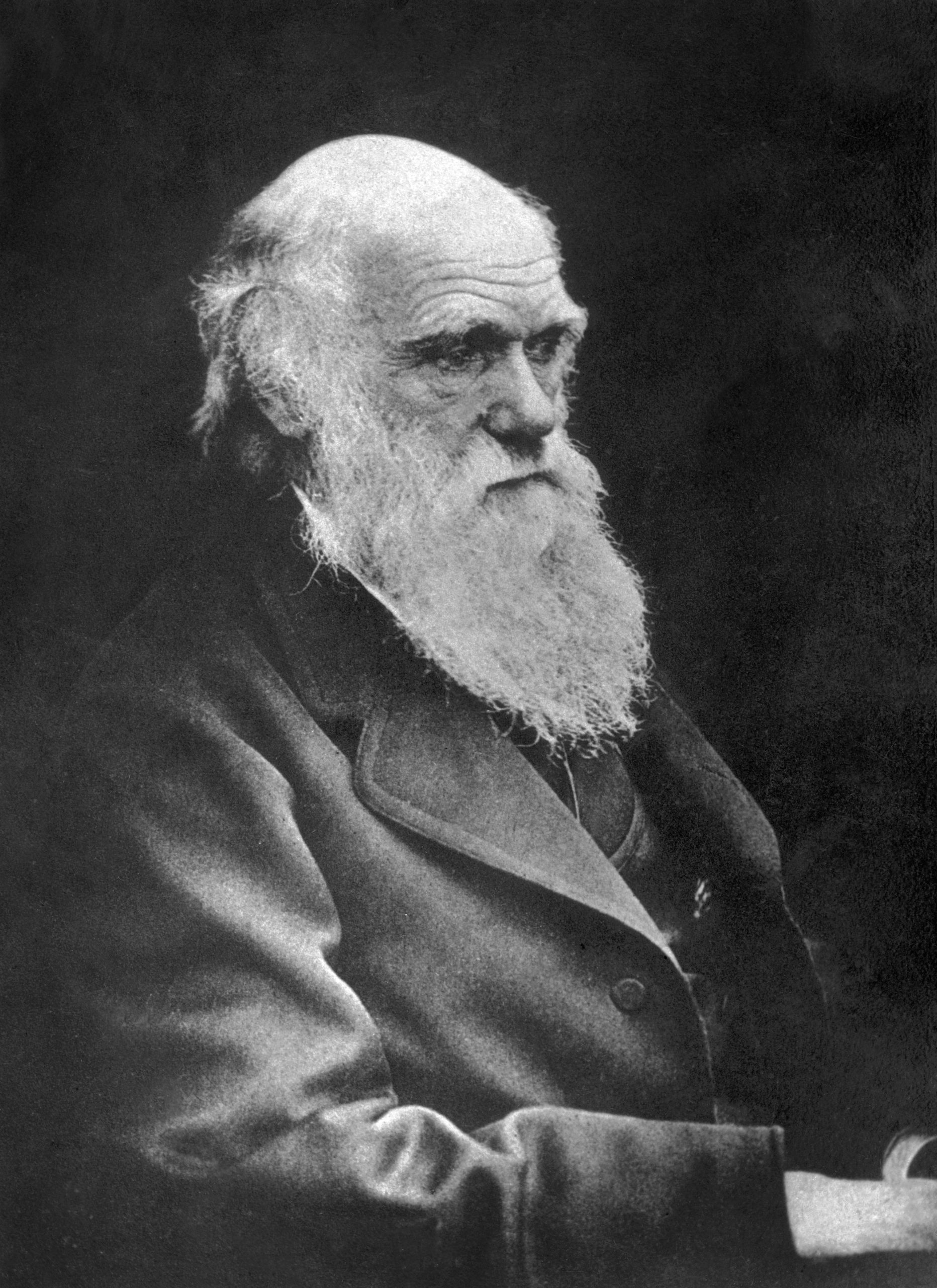 Charles Darwin photo 2