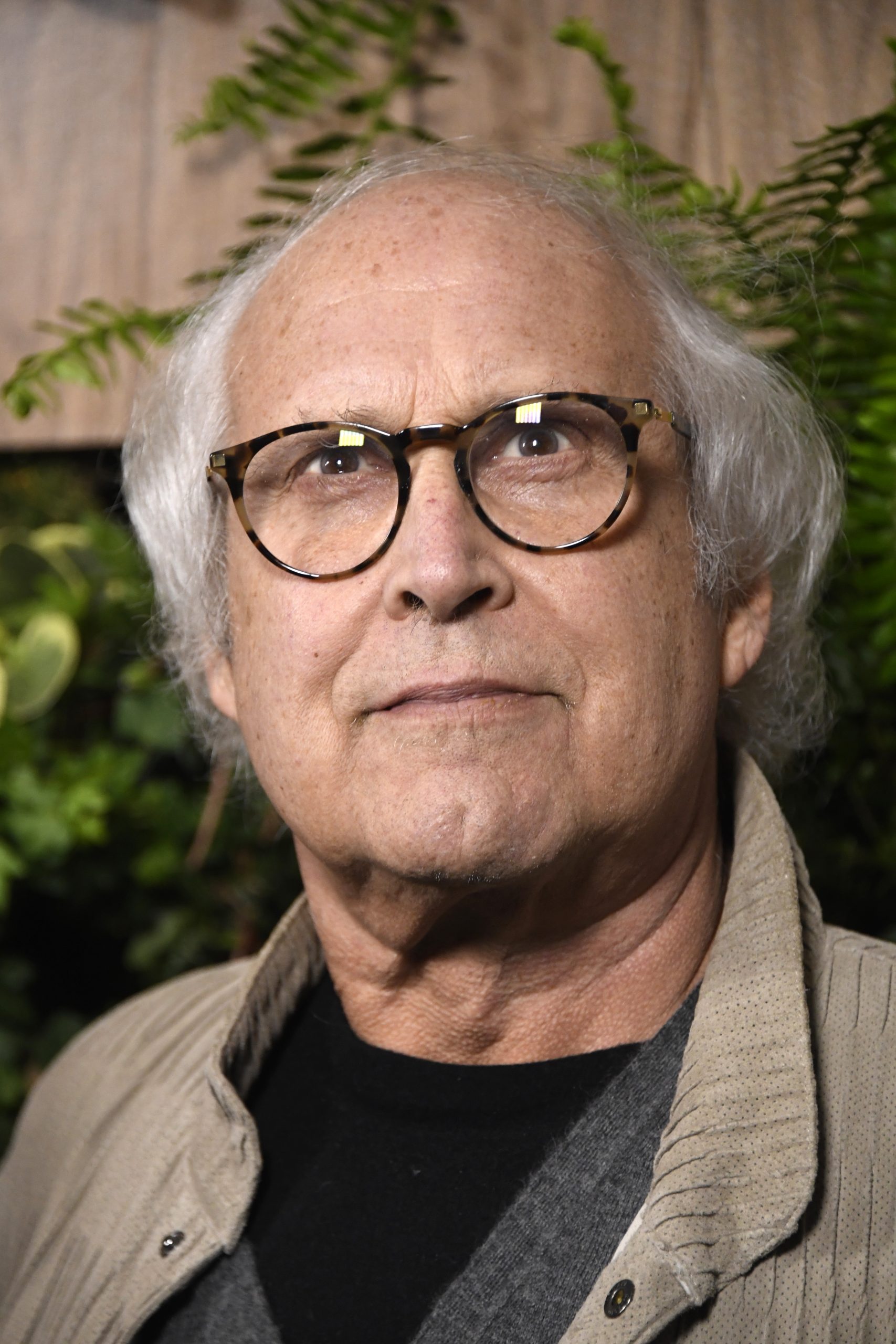 Chevy Chase photo