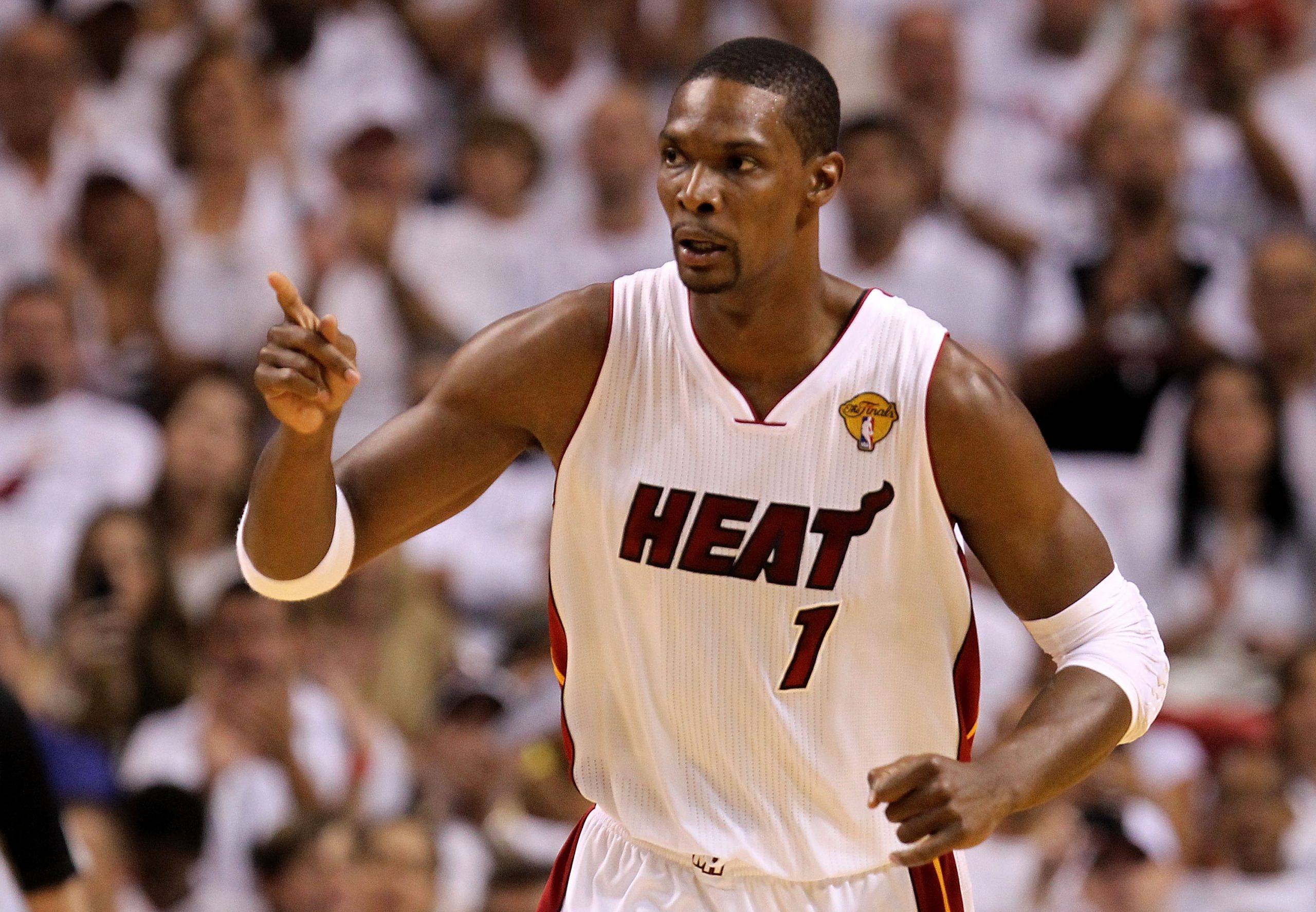 Chris Bosh photo