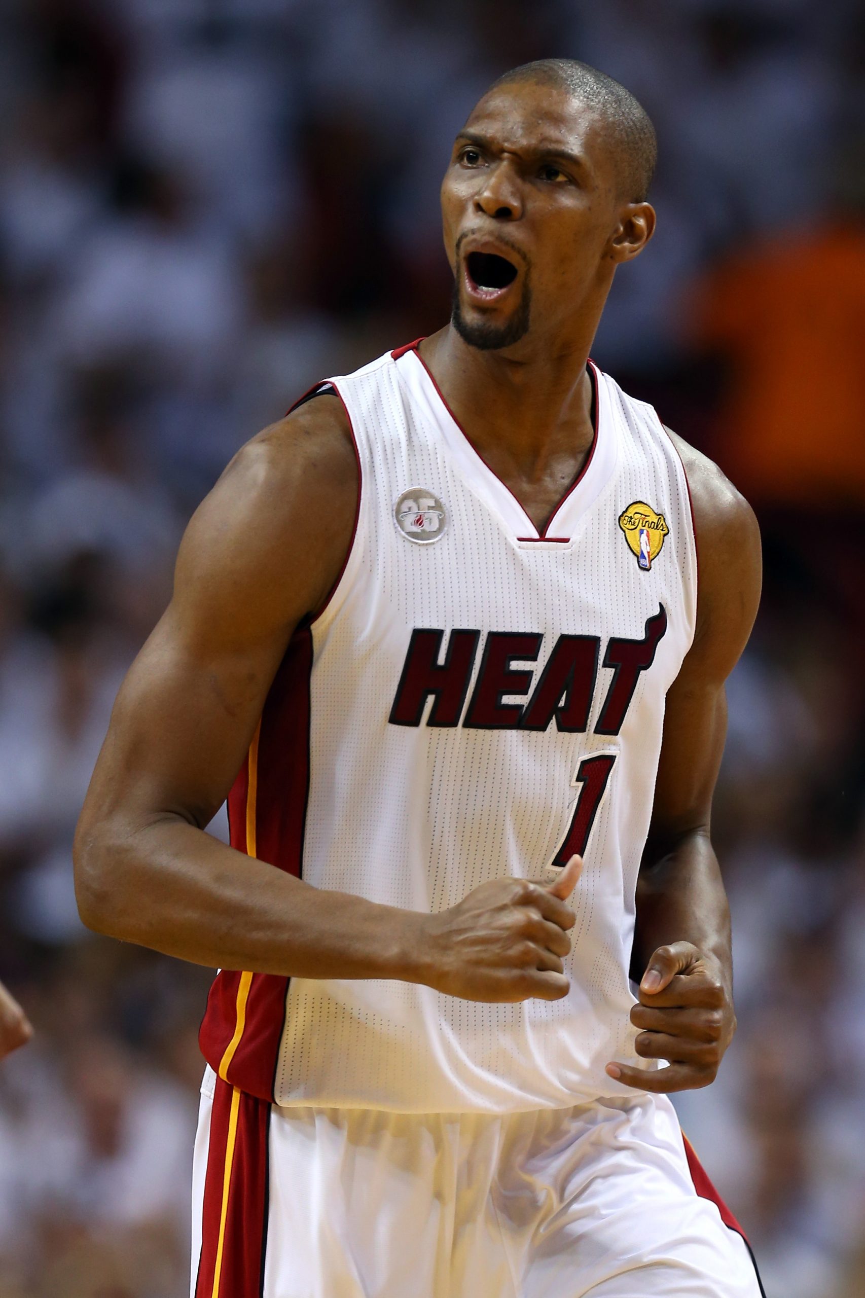 Chris Bosh photo 2