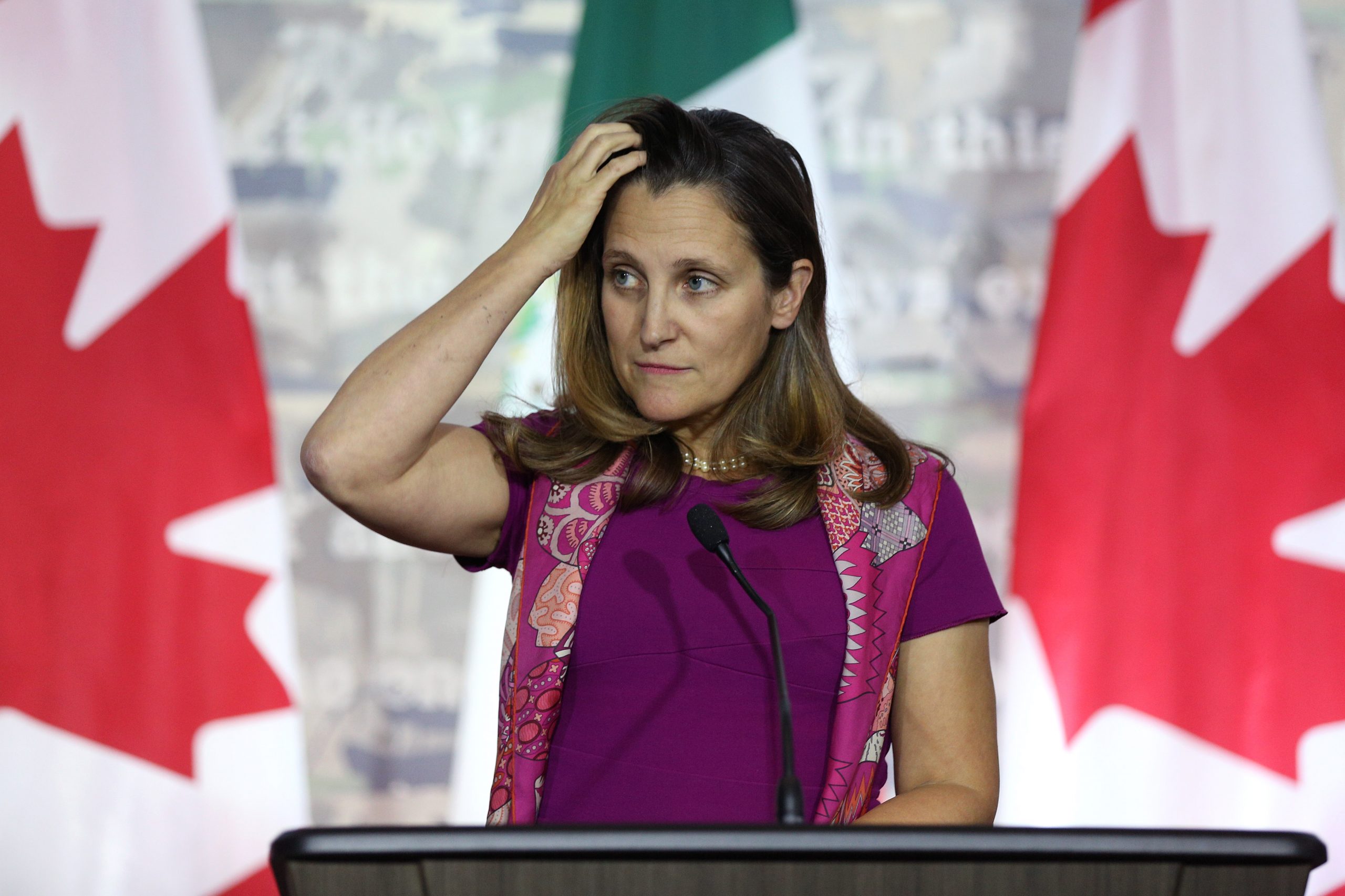 Chrystia Freeland photo 2