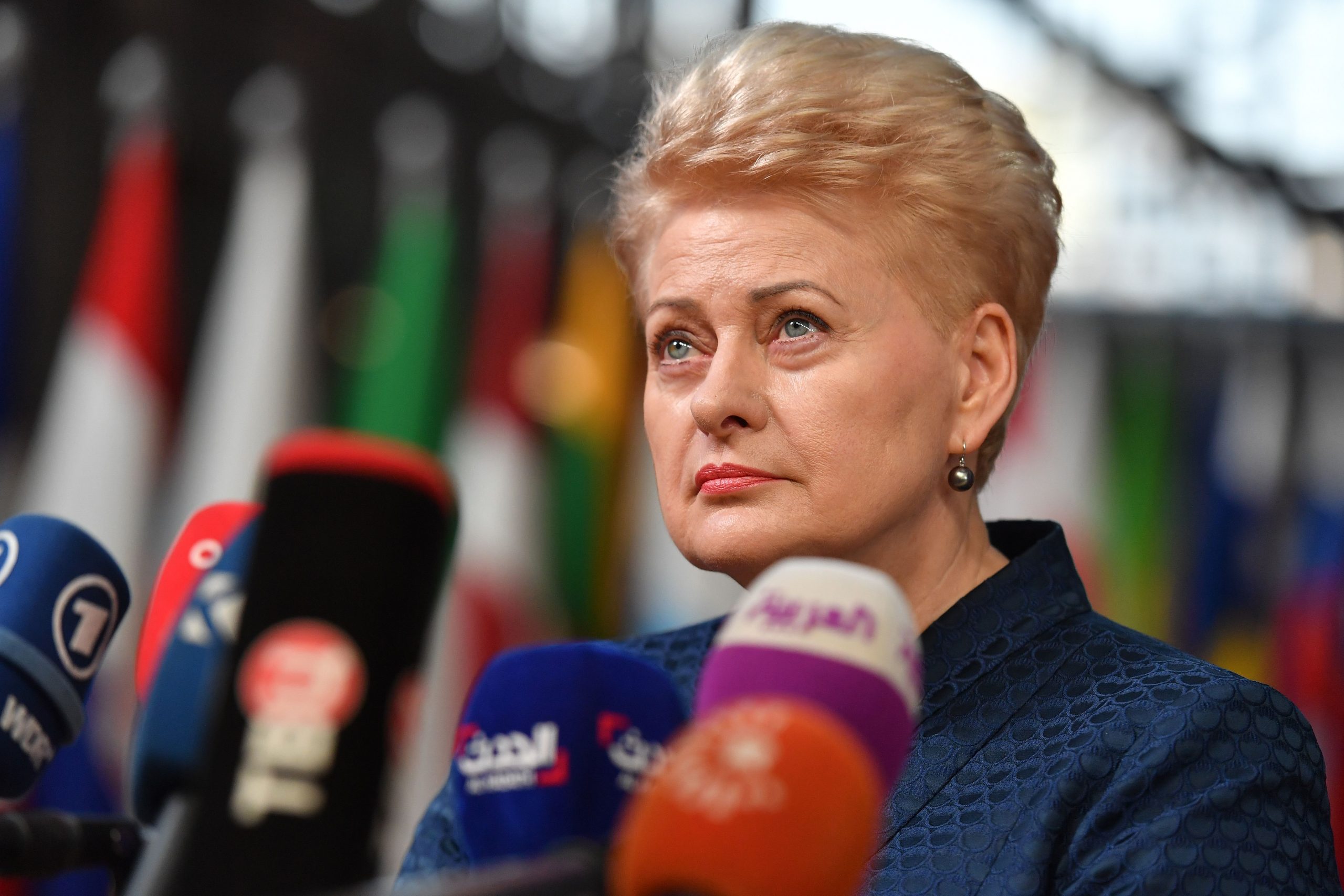 Dalia Grybauskaitė photo 2