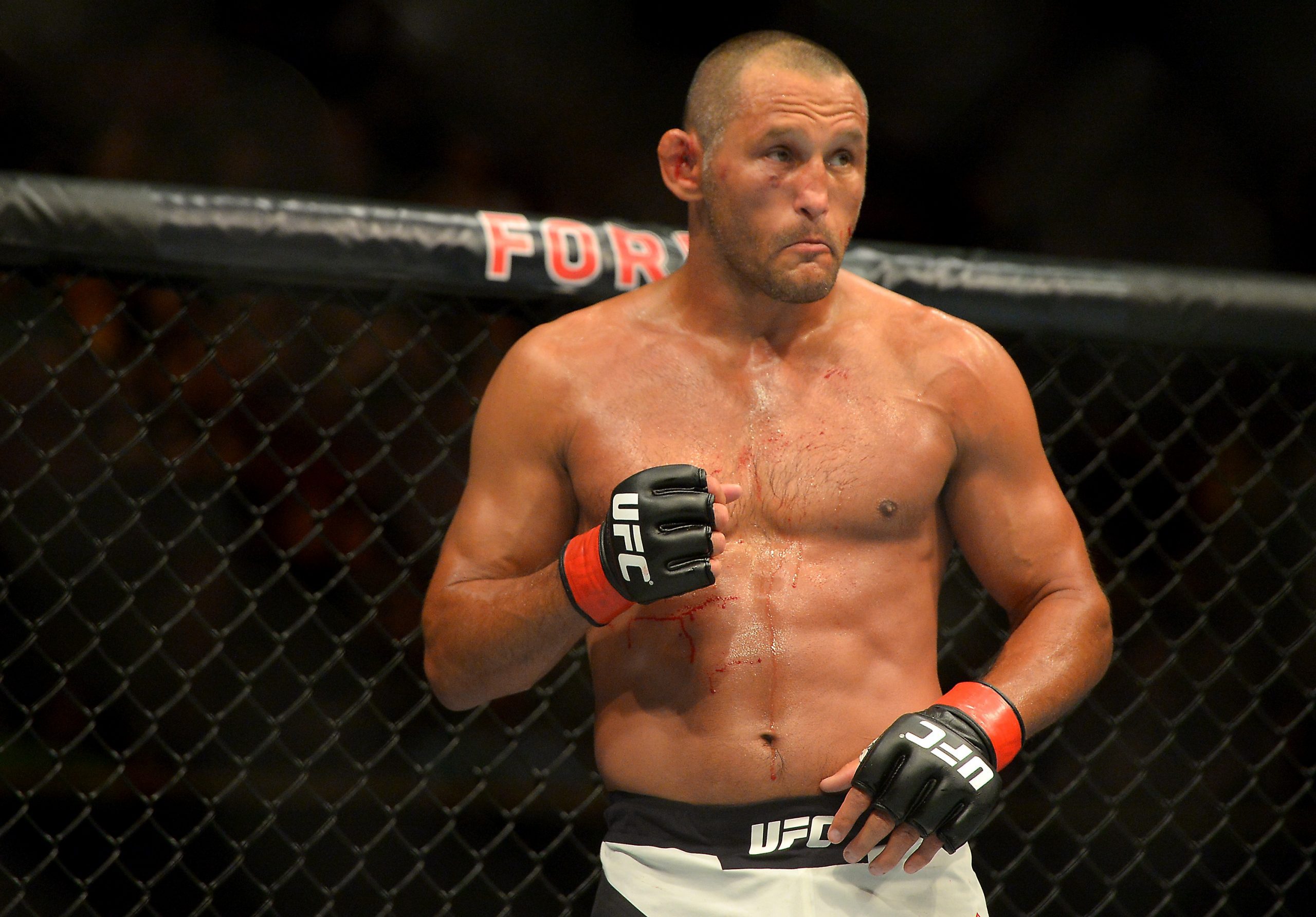 Dan Henderson photo 2