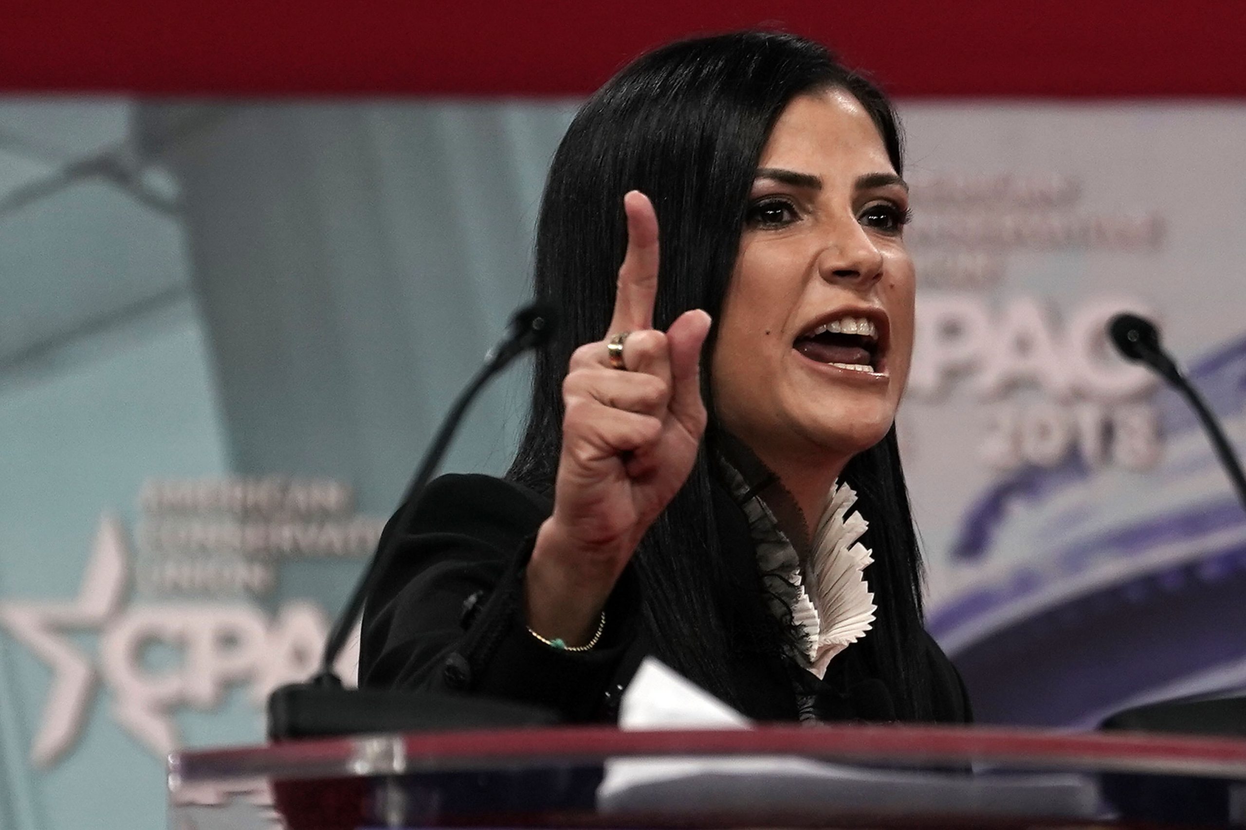 Dana Loesch photo