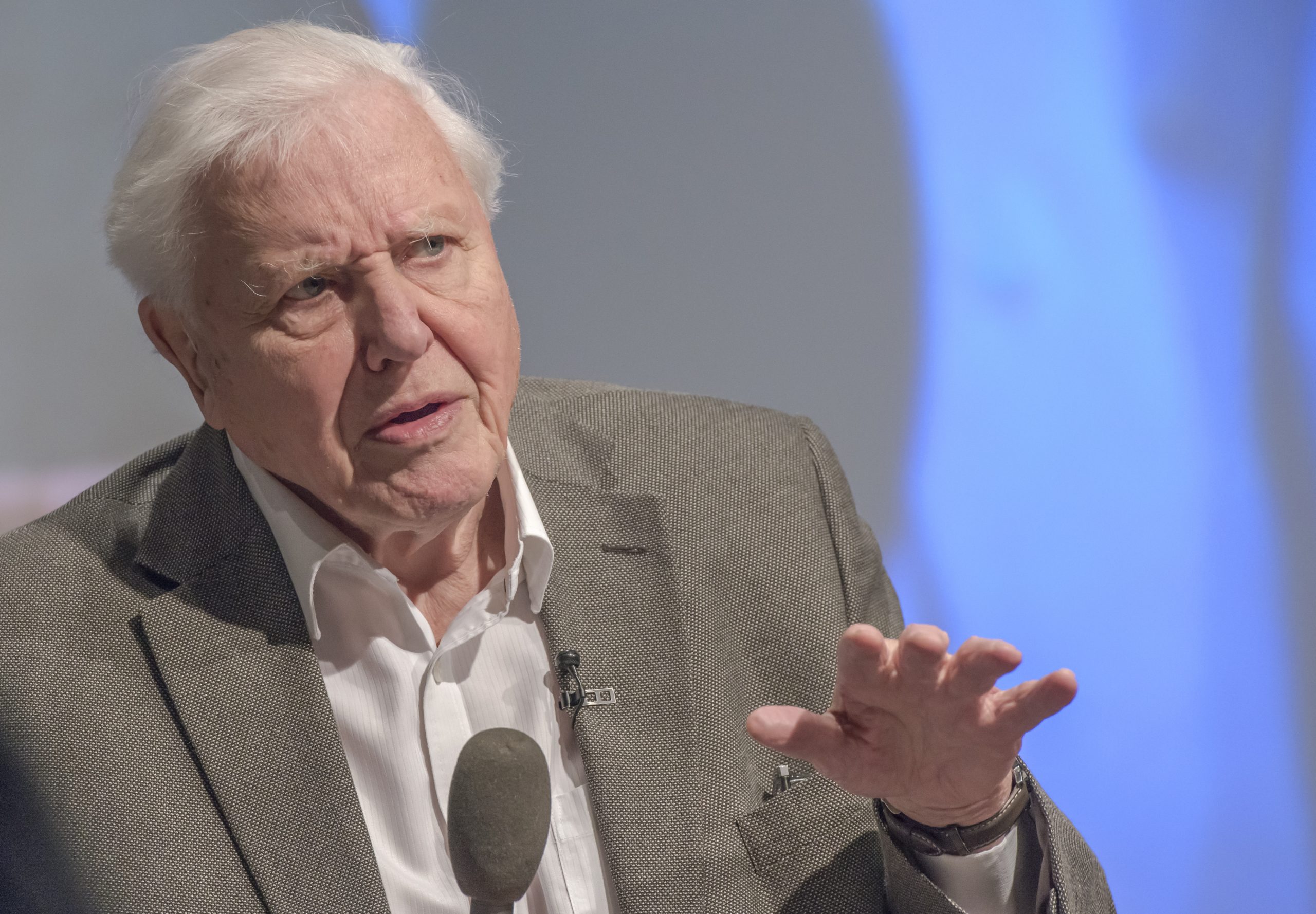 David Attenborough photo 3