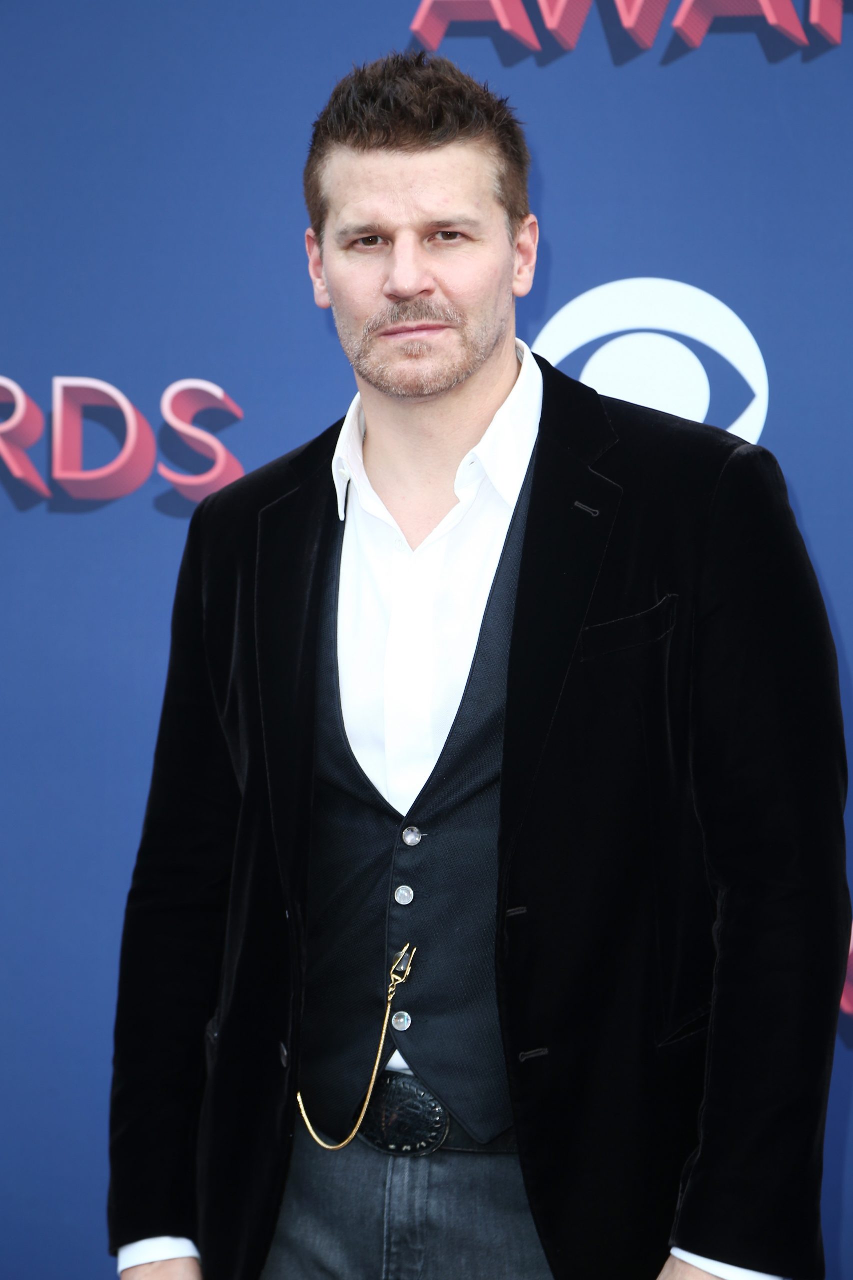 David Boreanaz photo 3