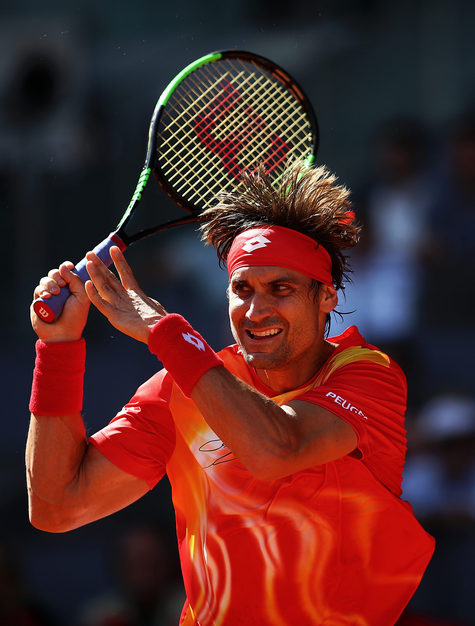 David Ferrer photo