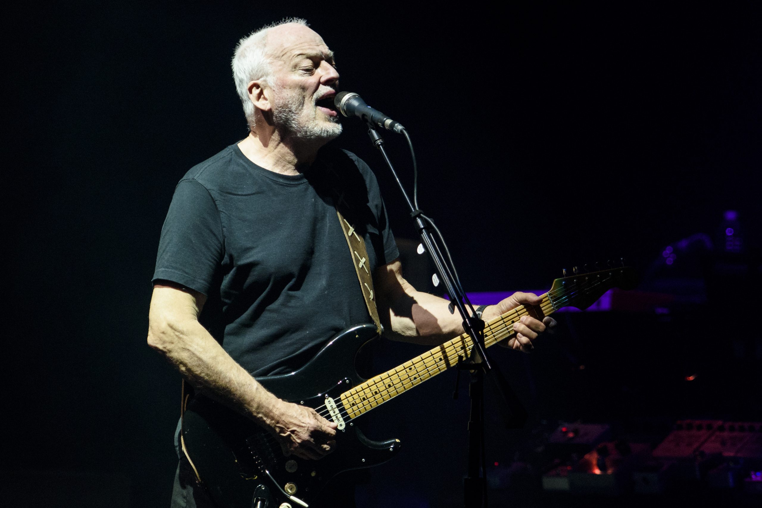 David Gilmour photo