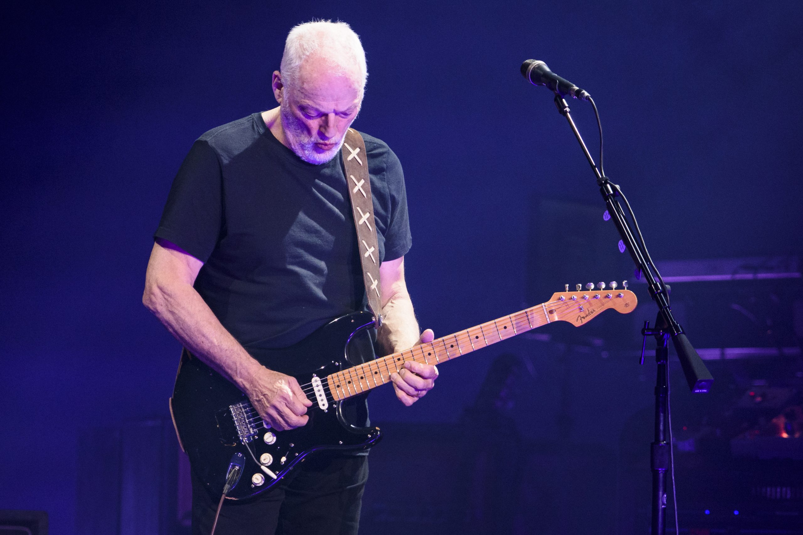 David Gilmour photo 3