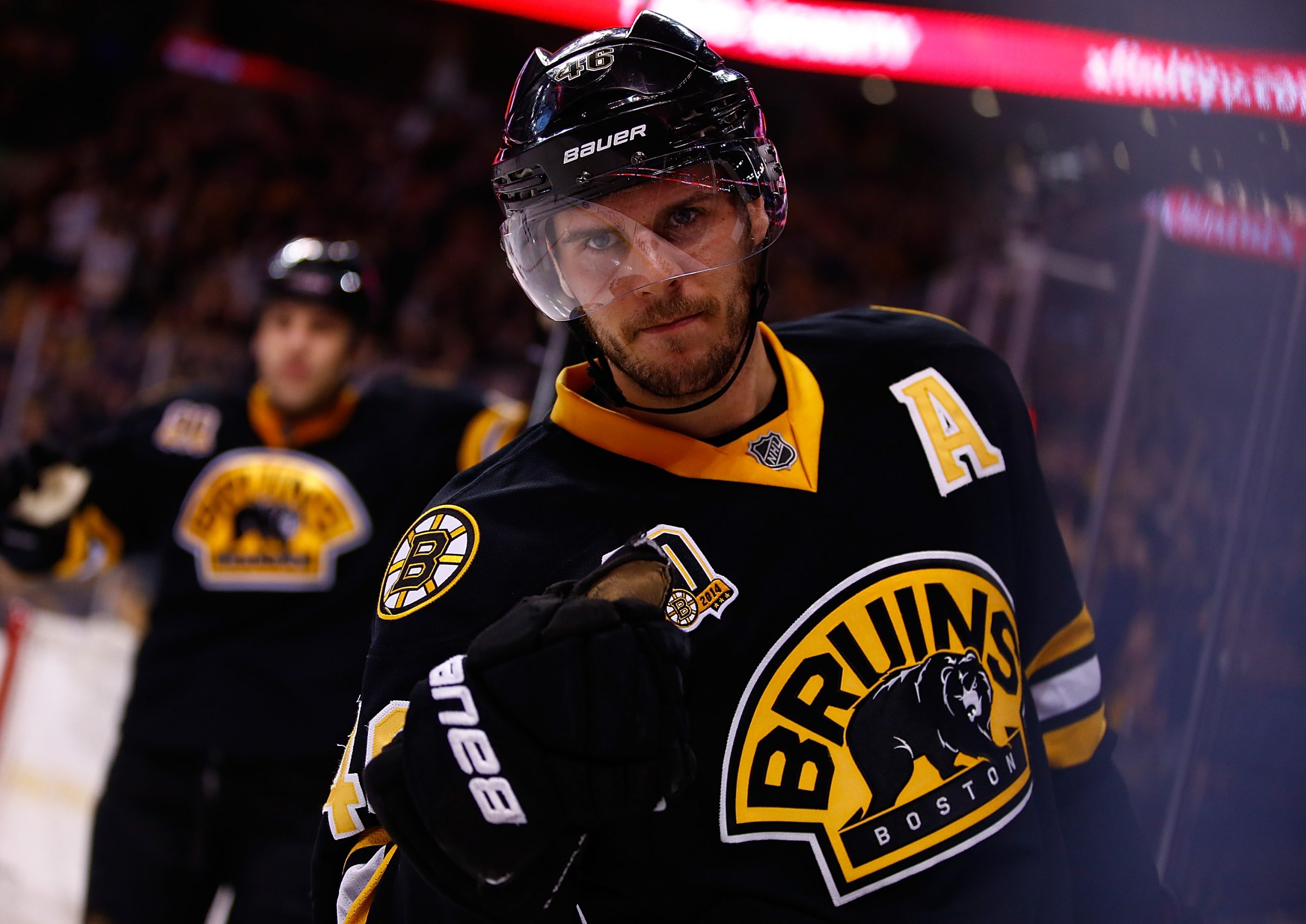 David Krejci photo 2