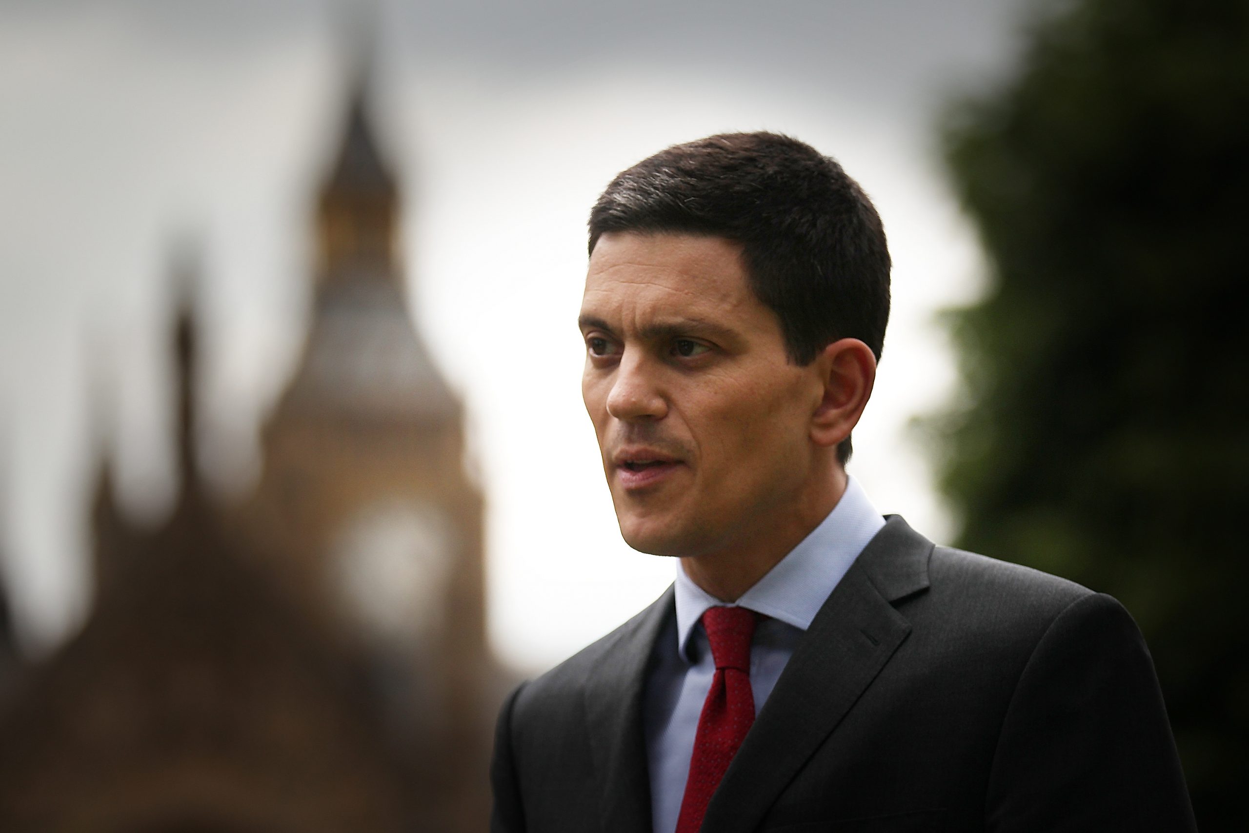 David Miliband photo