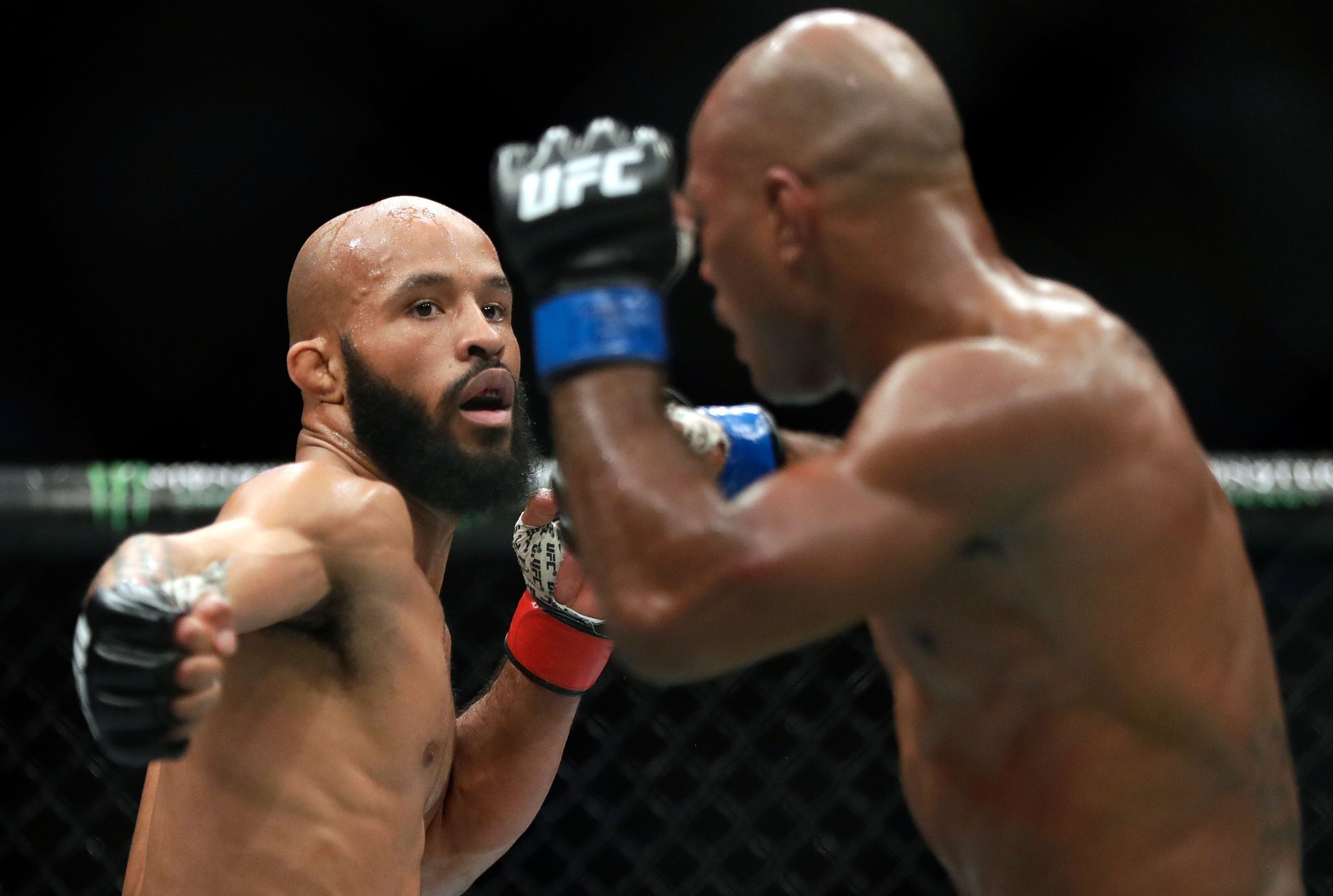 Demetrious Johnson photo 2