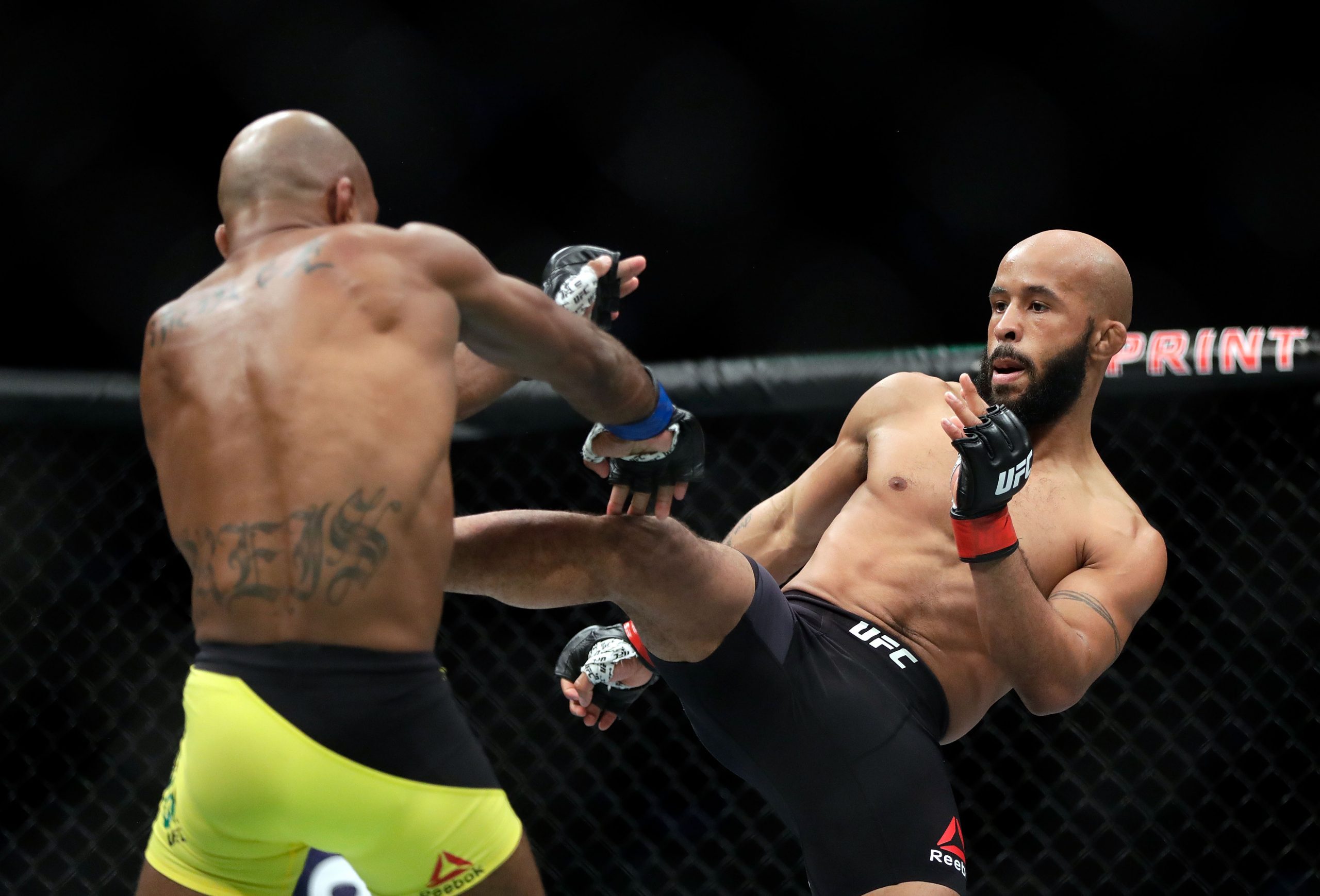 Demetrious Johnson photo 3