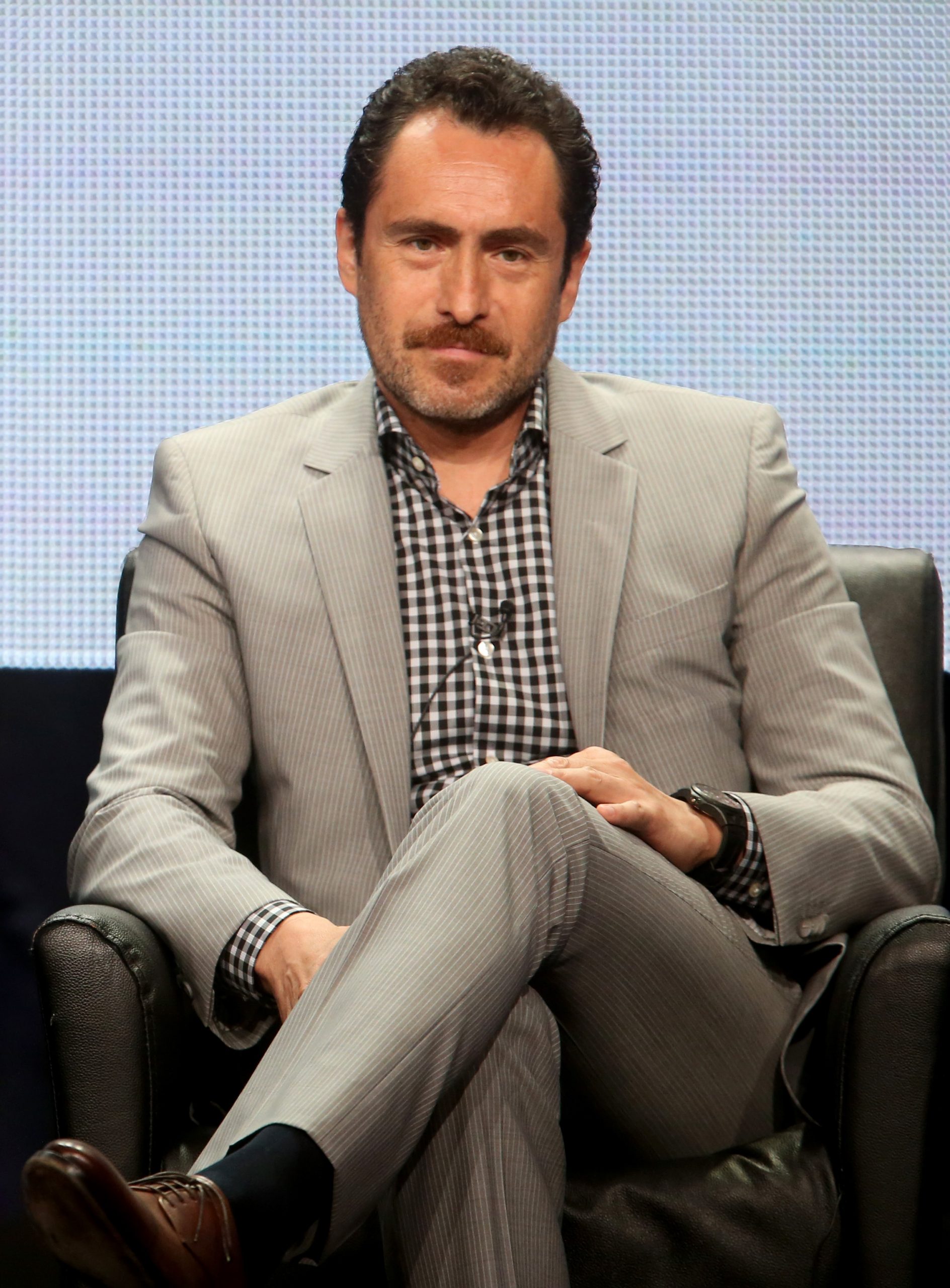 Demian Bichir photo 2