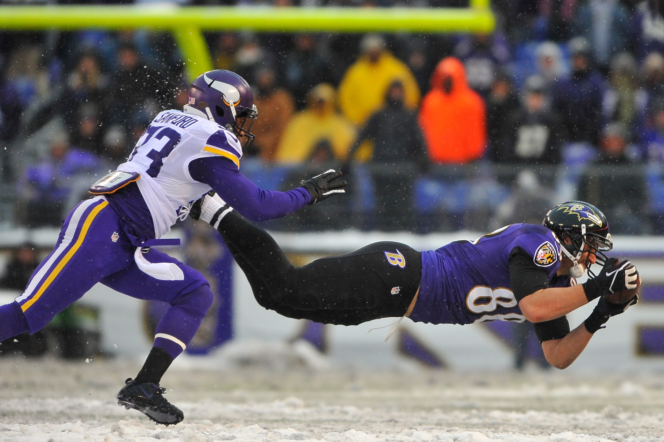 Dennis Pitta photo 3