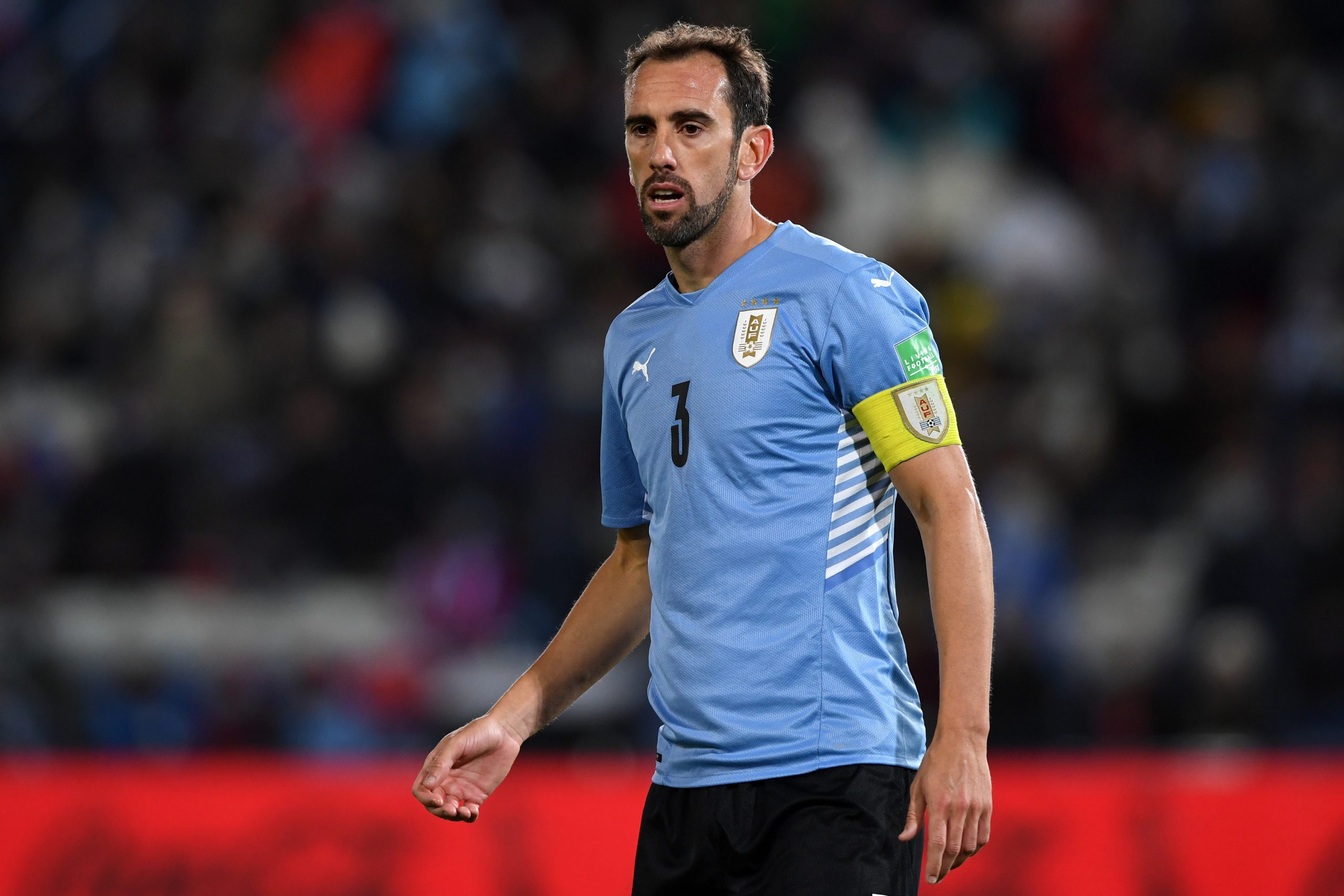 Diego Godin photo 3