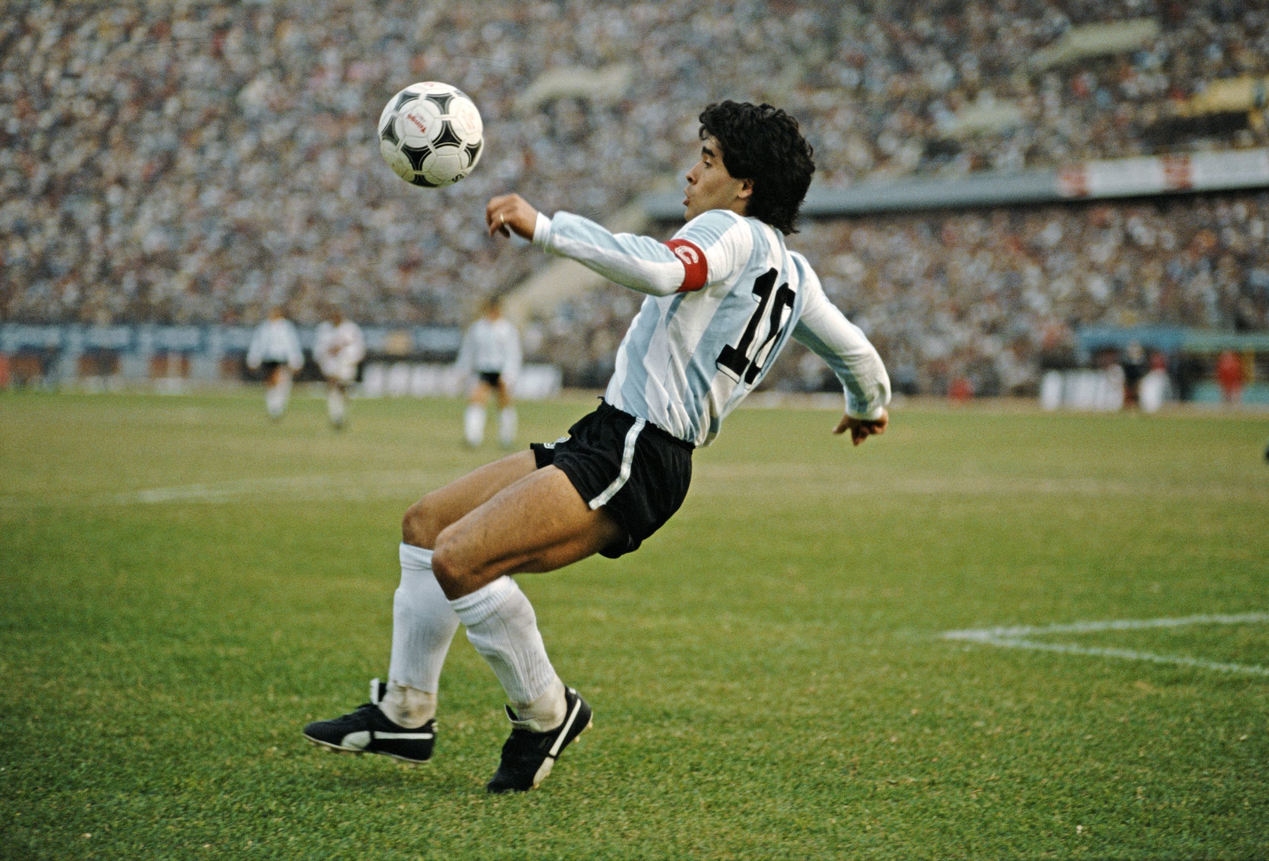 Diego Maradona photo