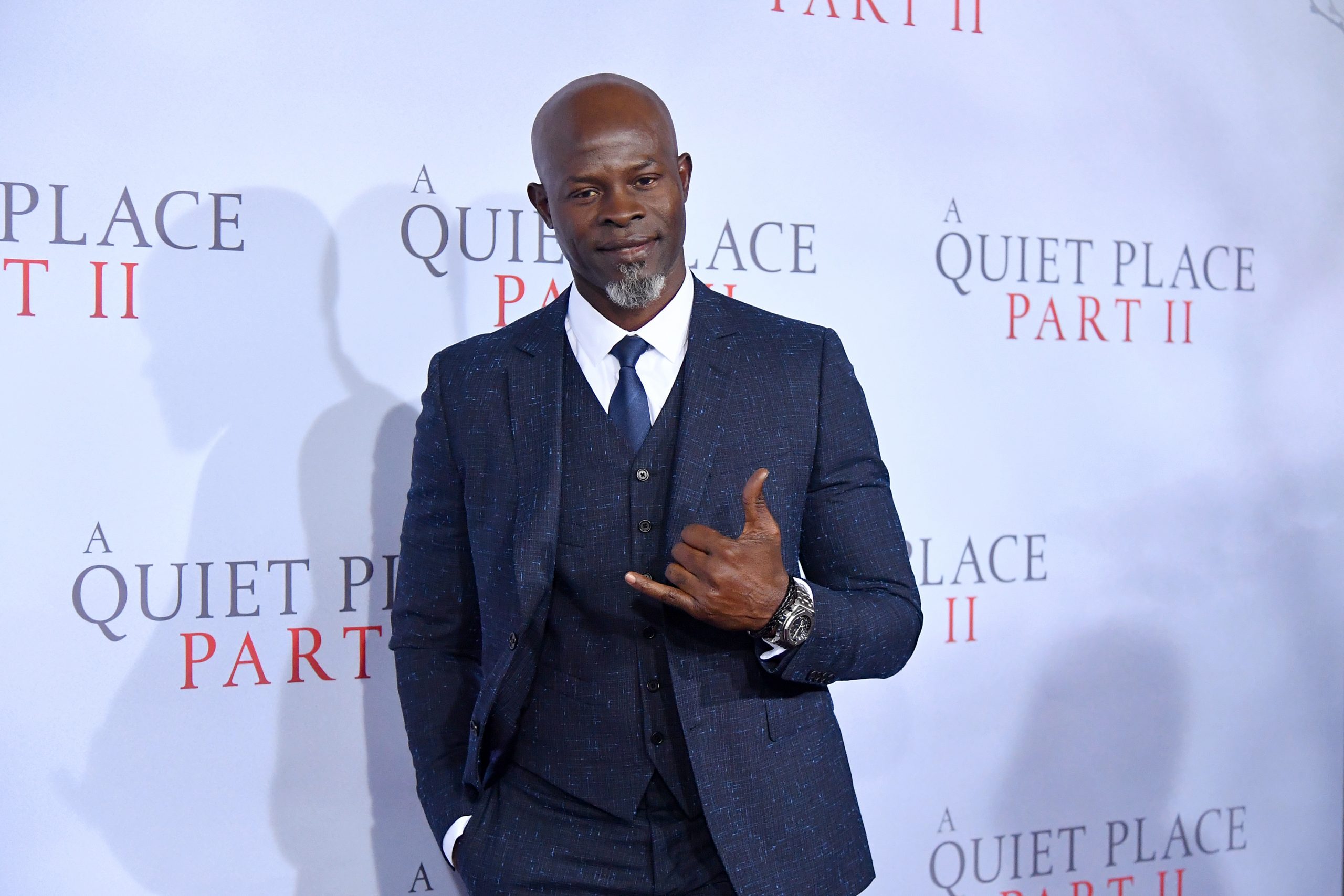 Djimon Hounsou photo