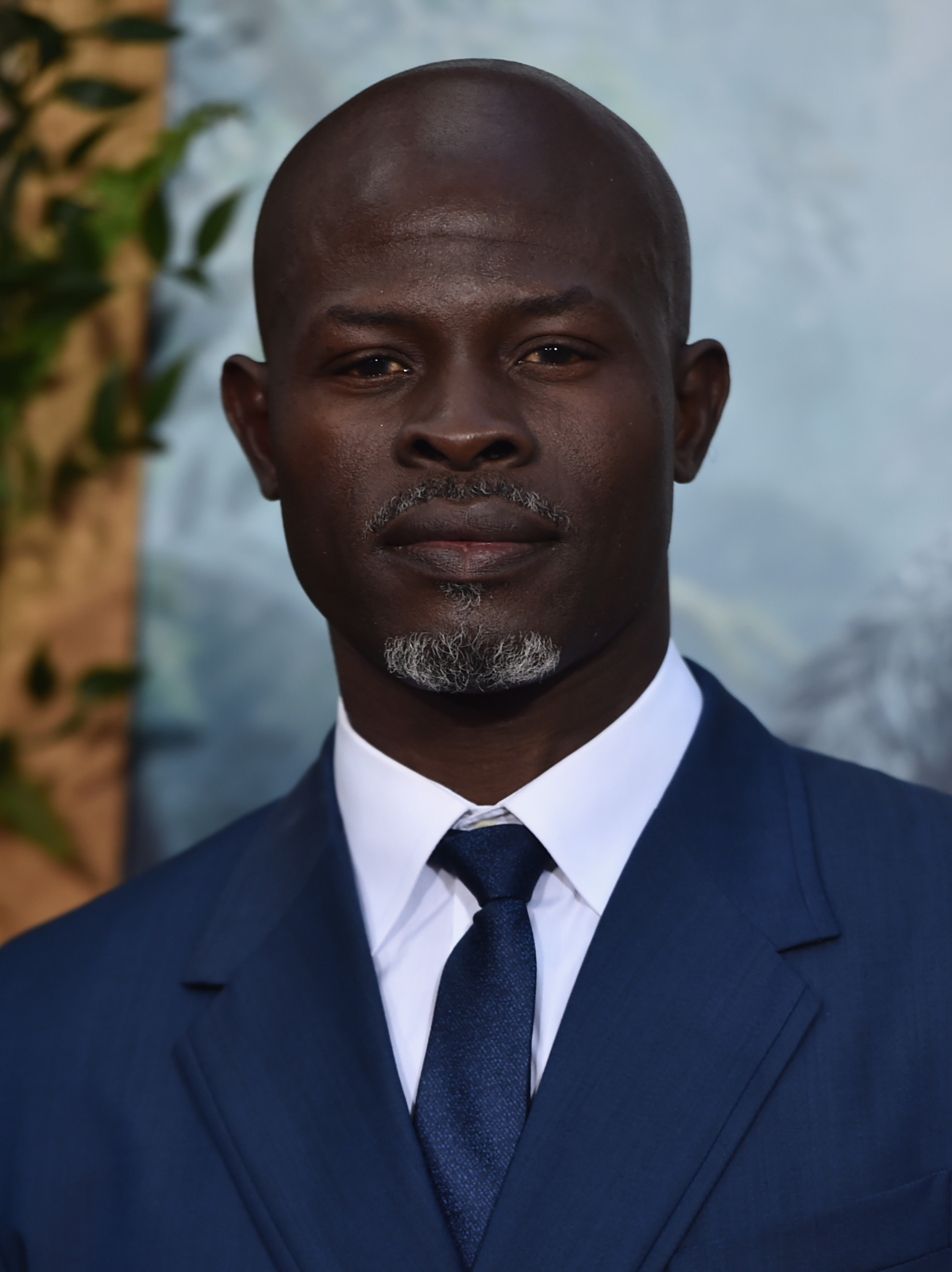 Djimon Hounsou photo 2