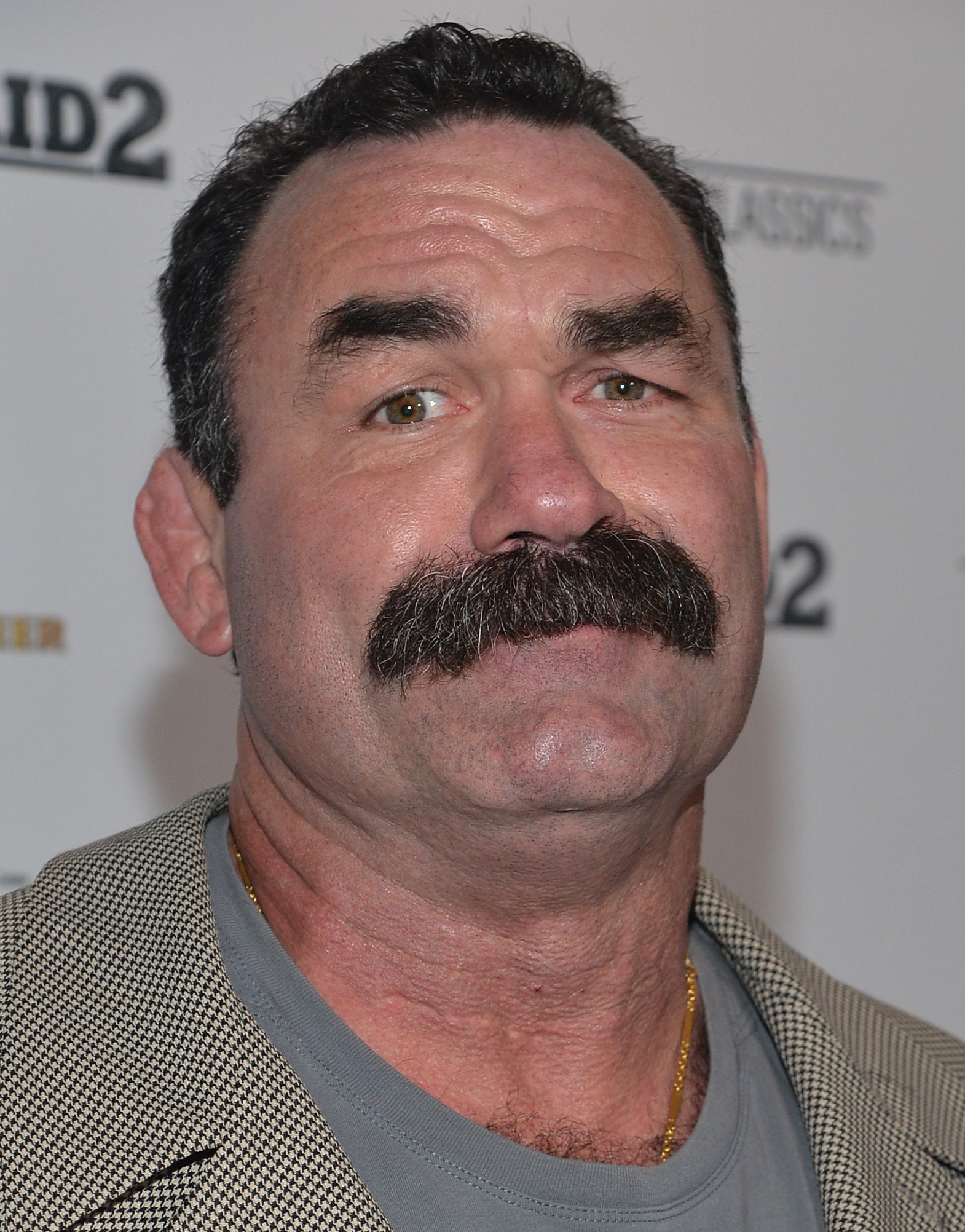 Don Frye photo