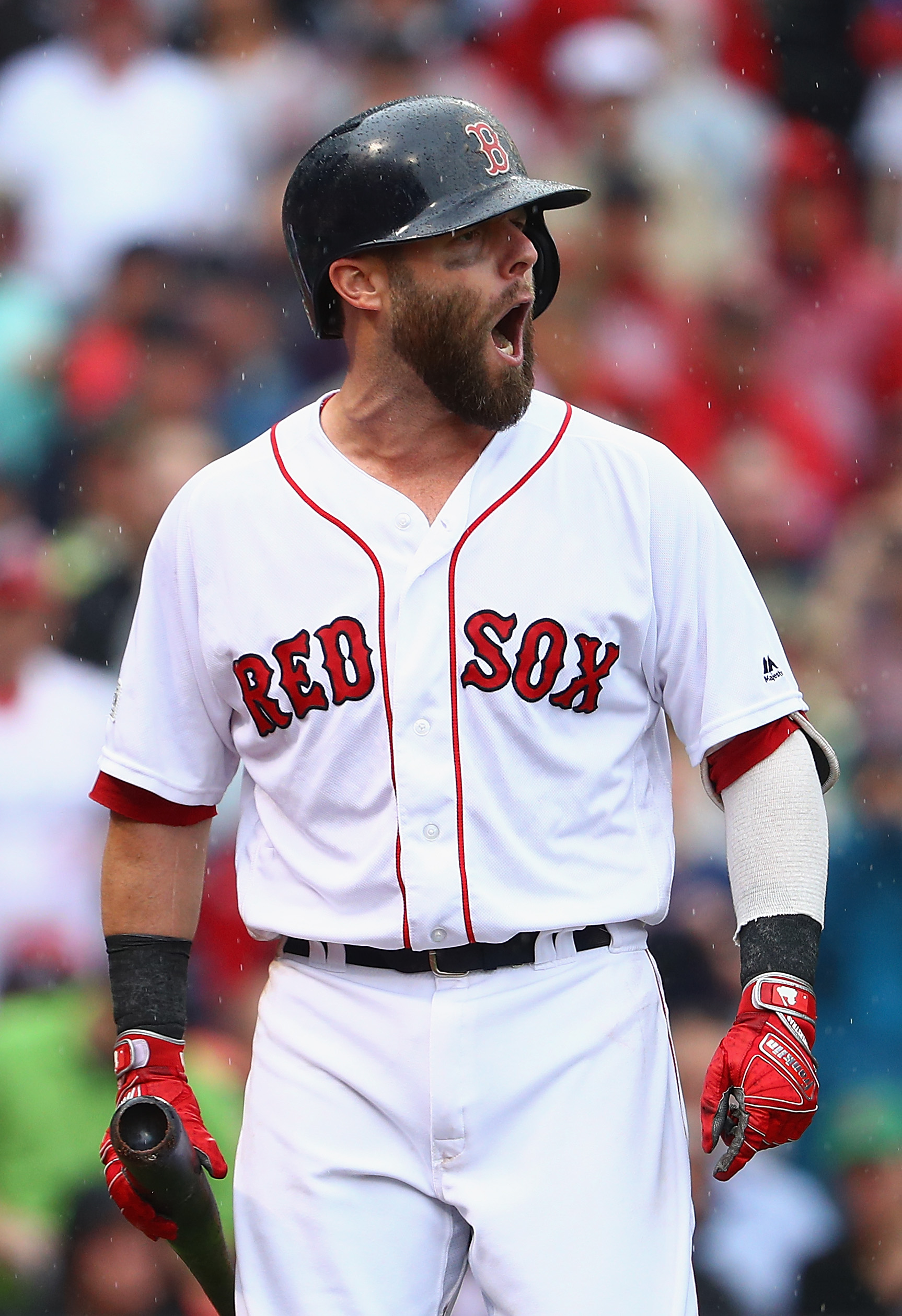 Dustin Pedroia photo