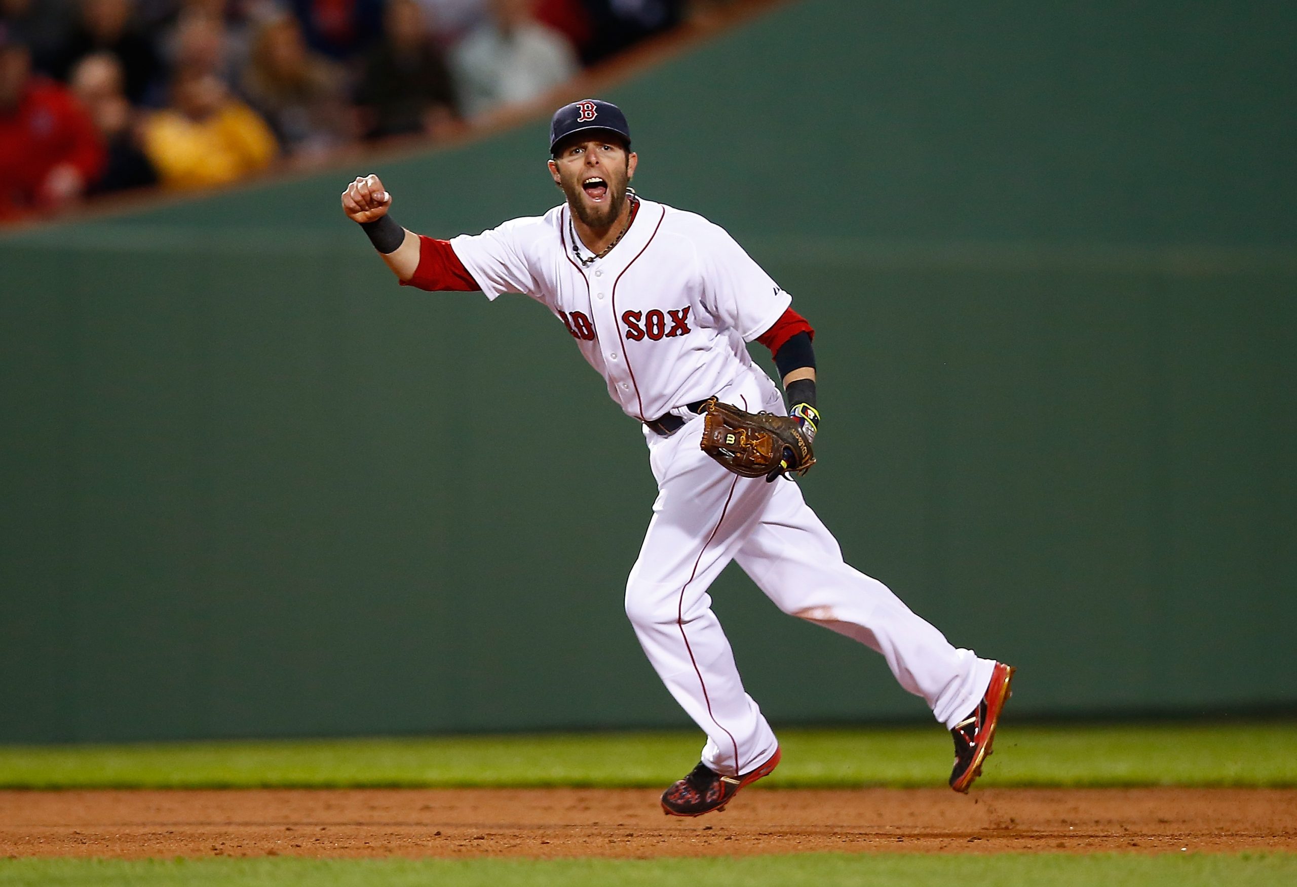 Dustin Pedroia photo 2