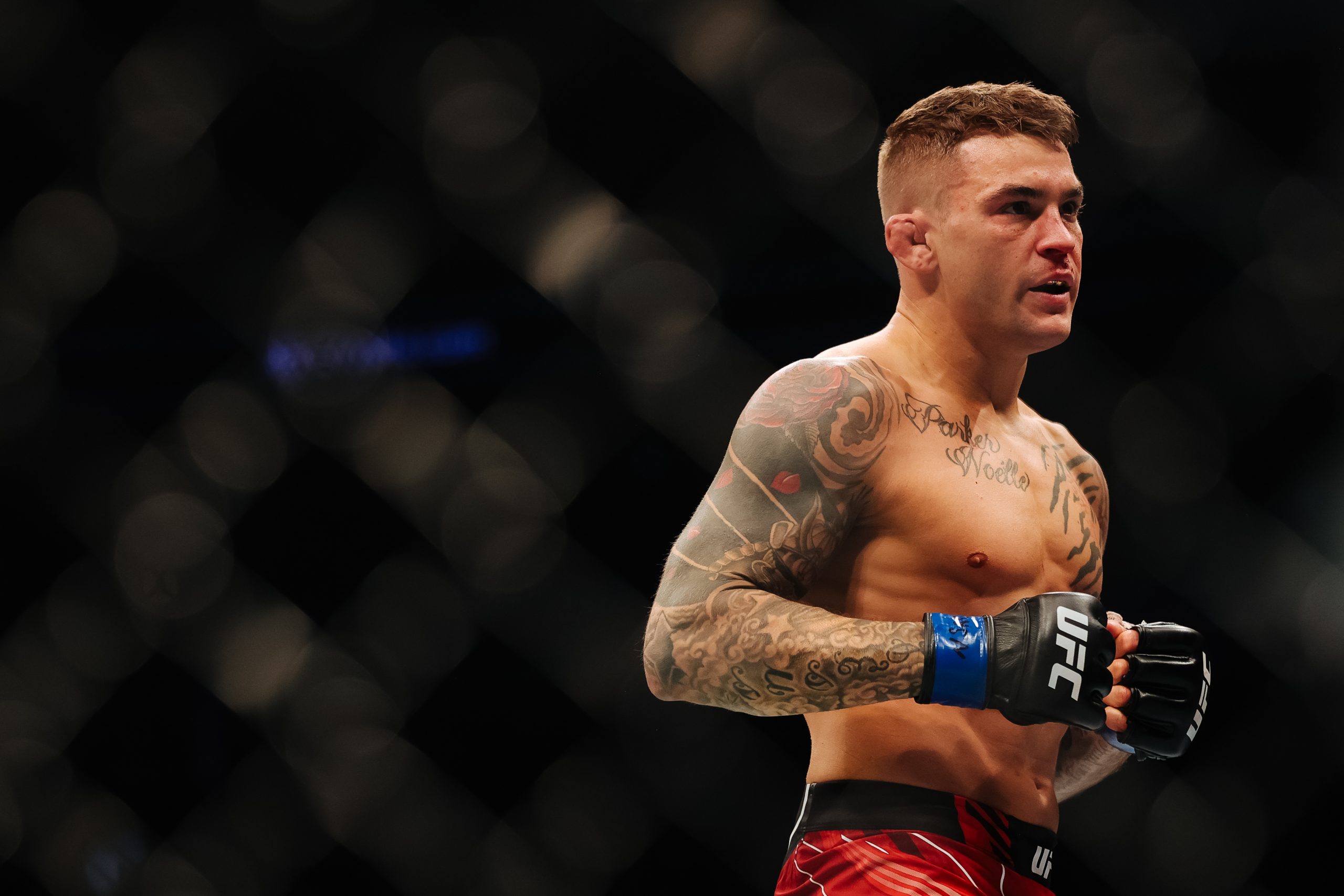 Dustin Poirier photo 3