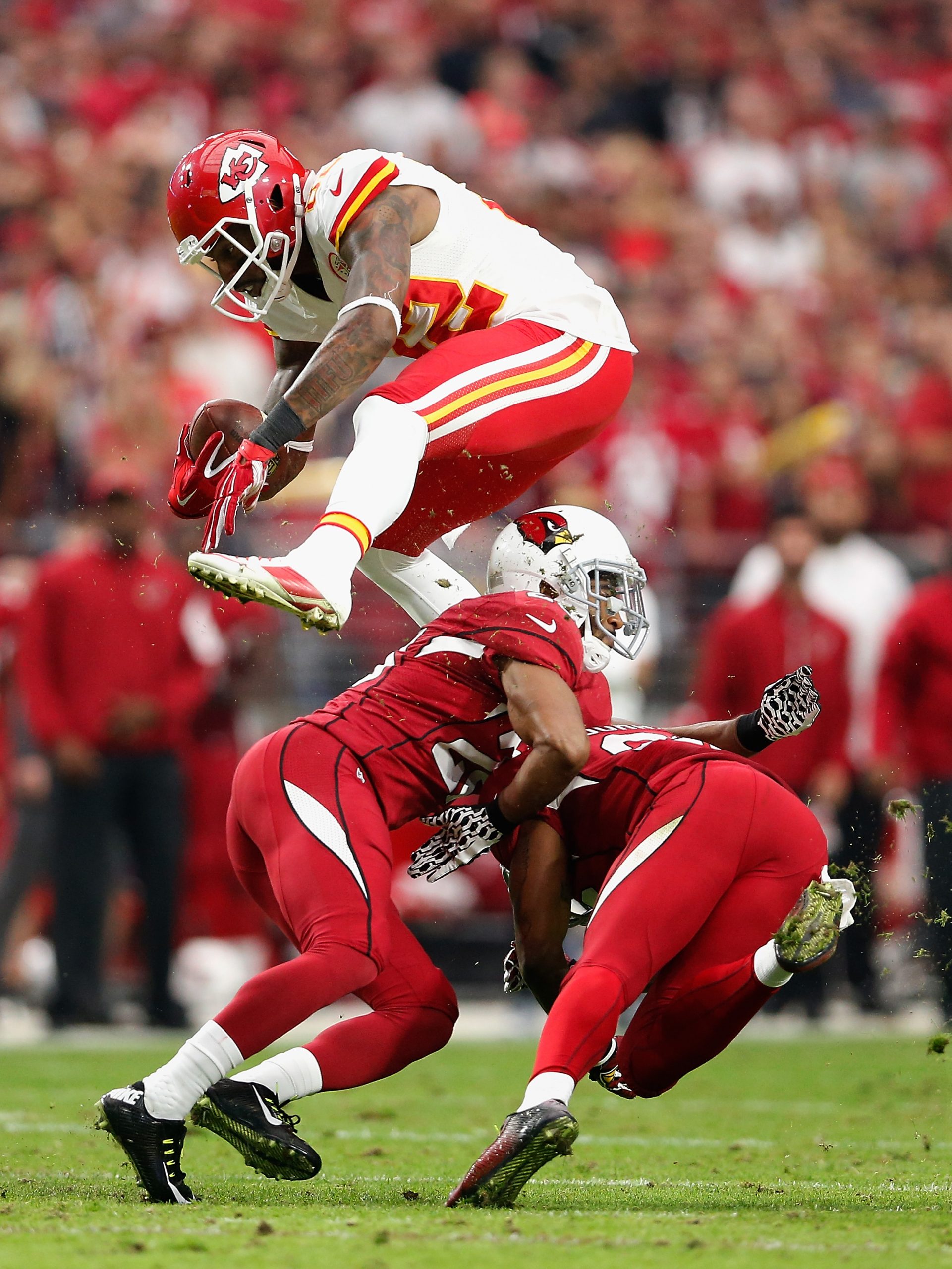 Dwayne Bowe photo