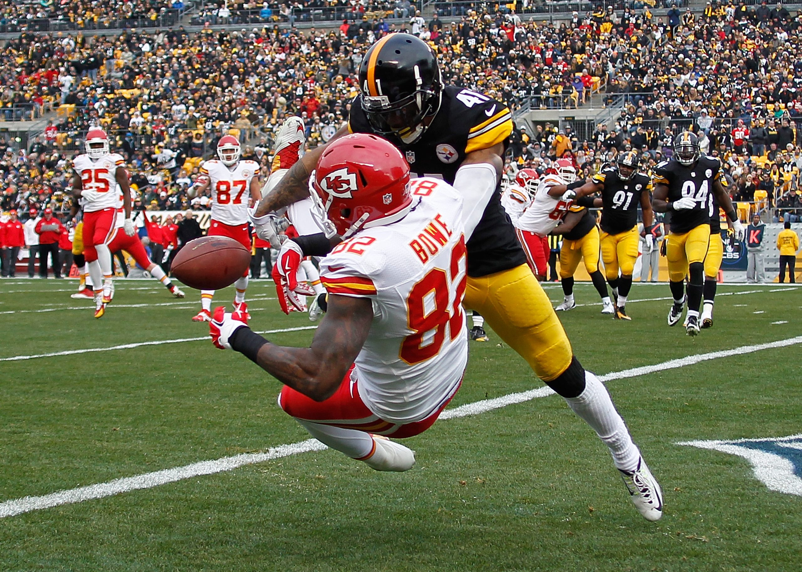 Dwayne Bowe photo 2