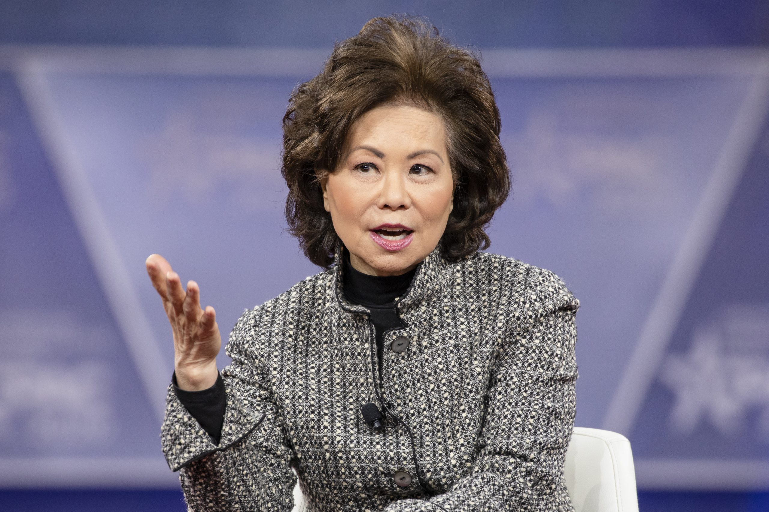 Elaine Chao photo 2