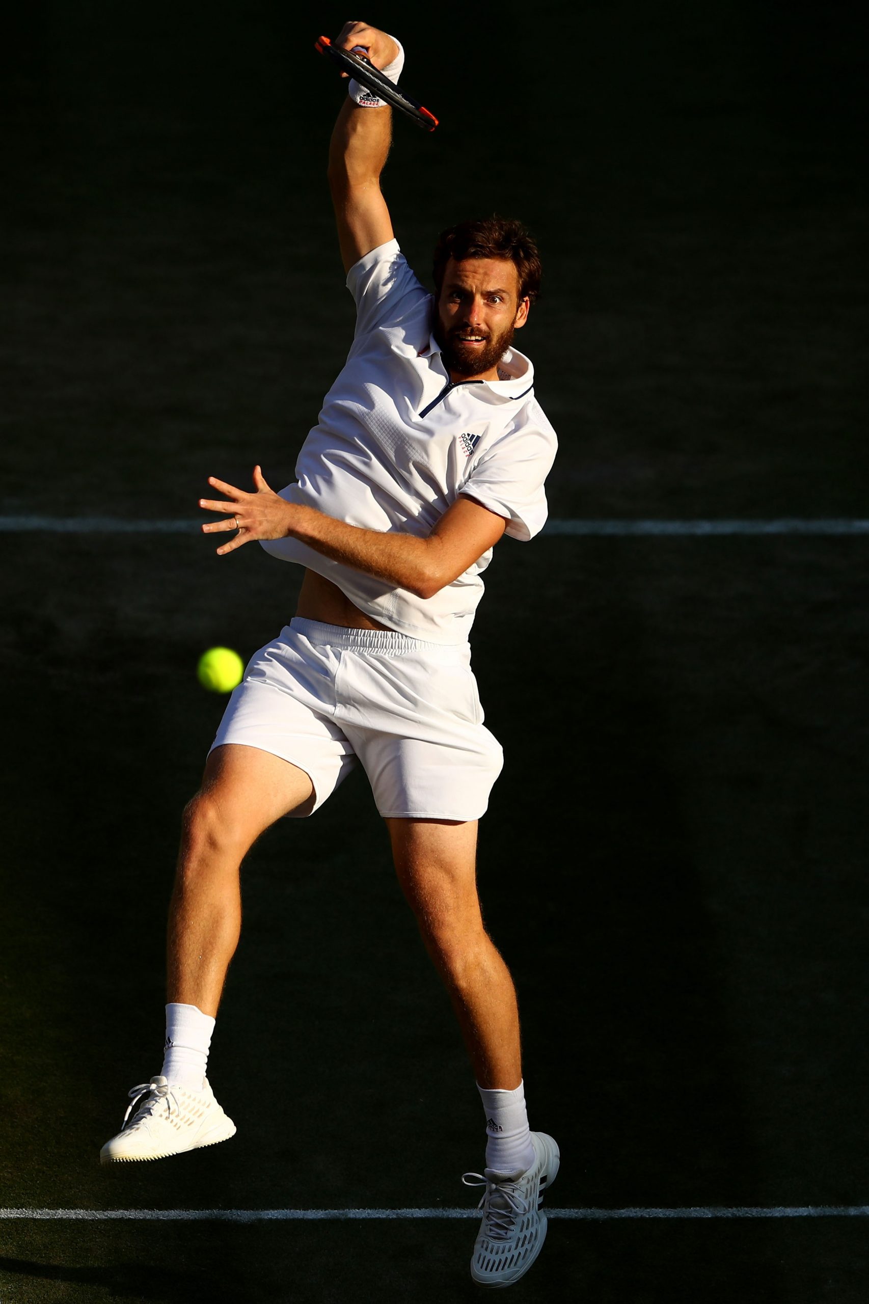 Ernests Gulbis photo