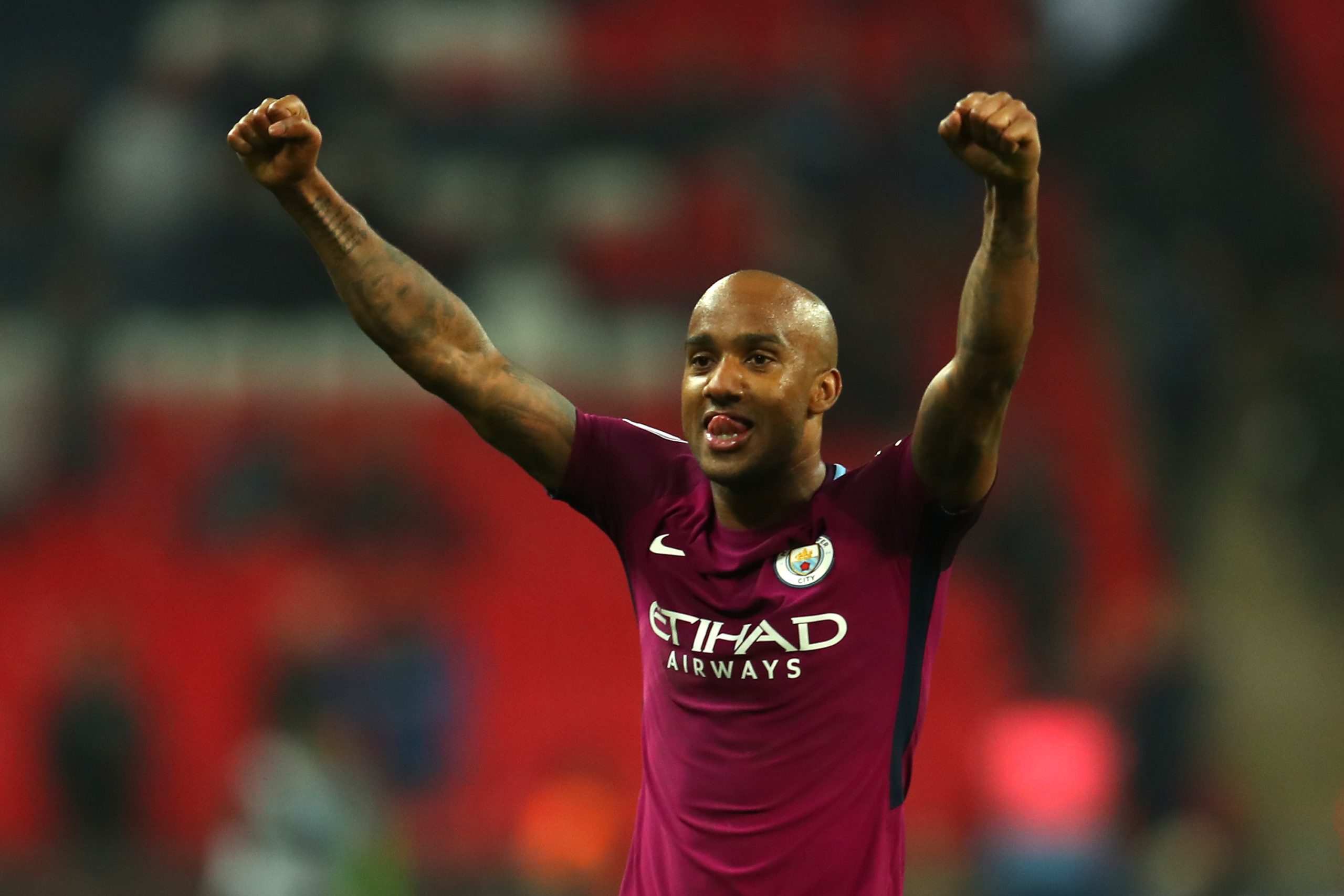 Fabian Delph photo 3