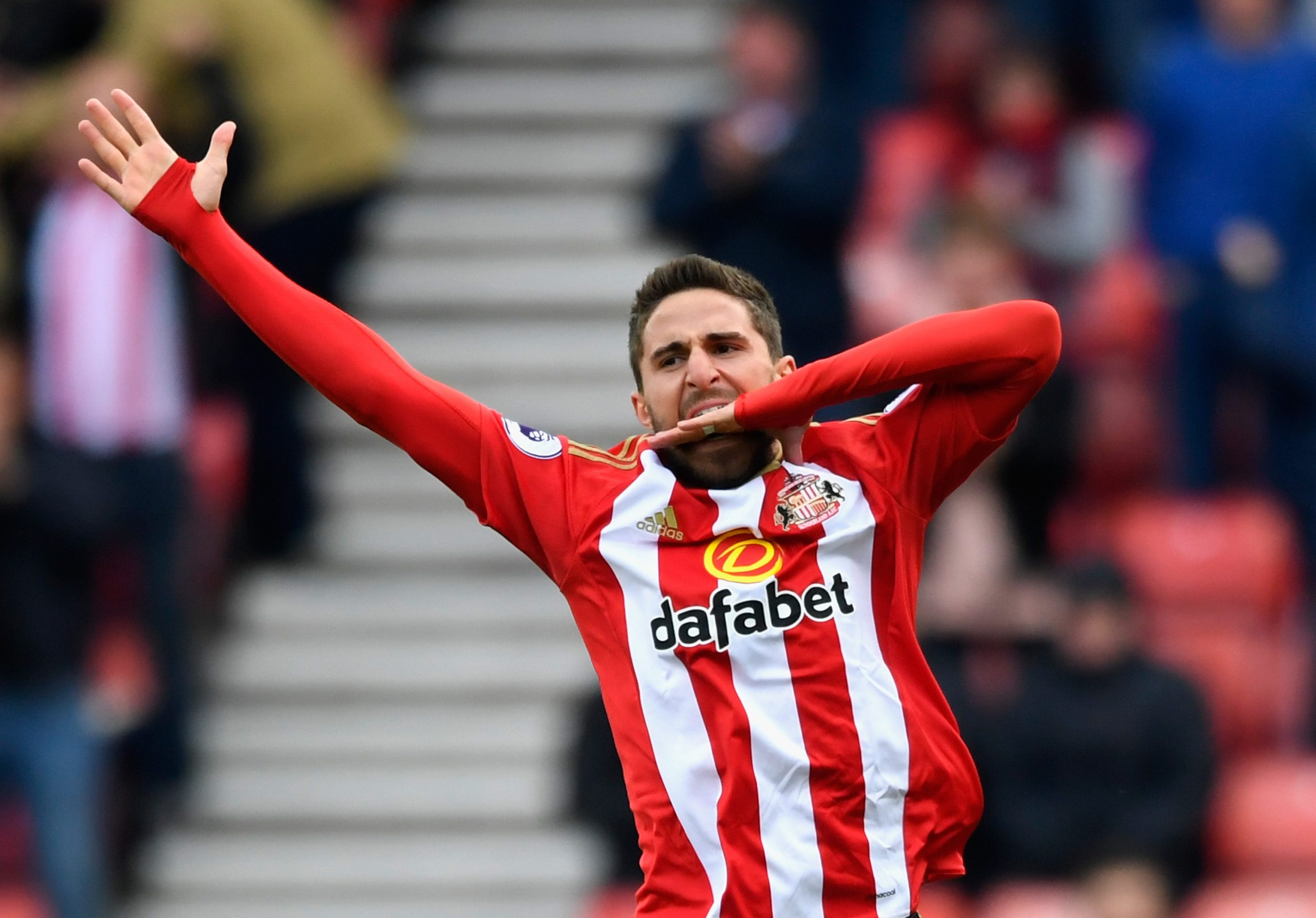 Fabio Borini photo