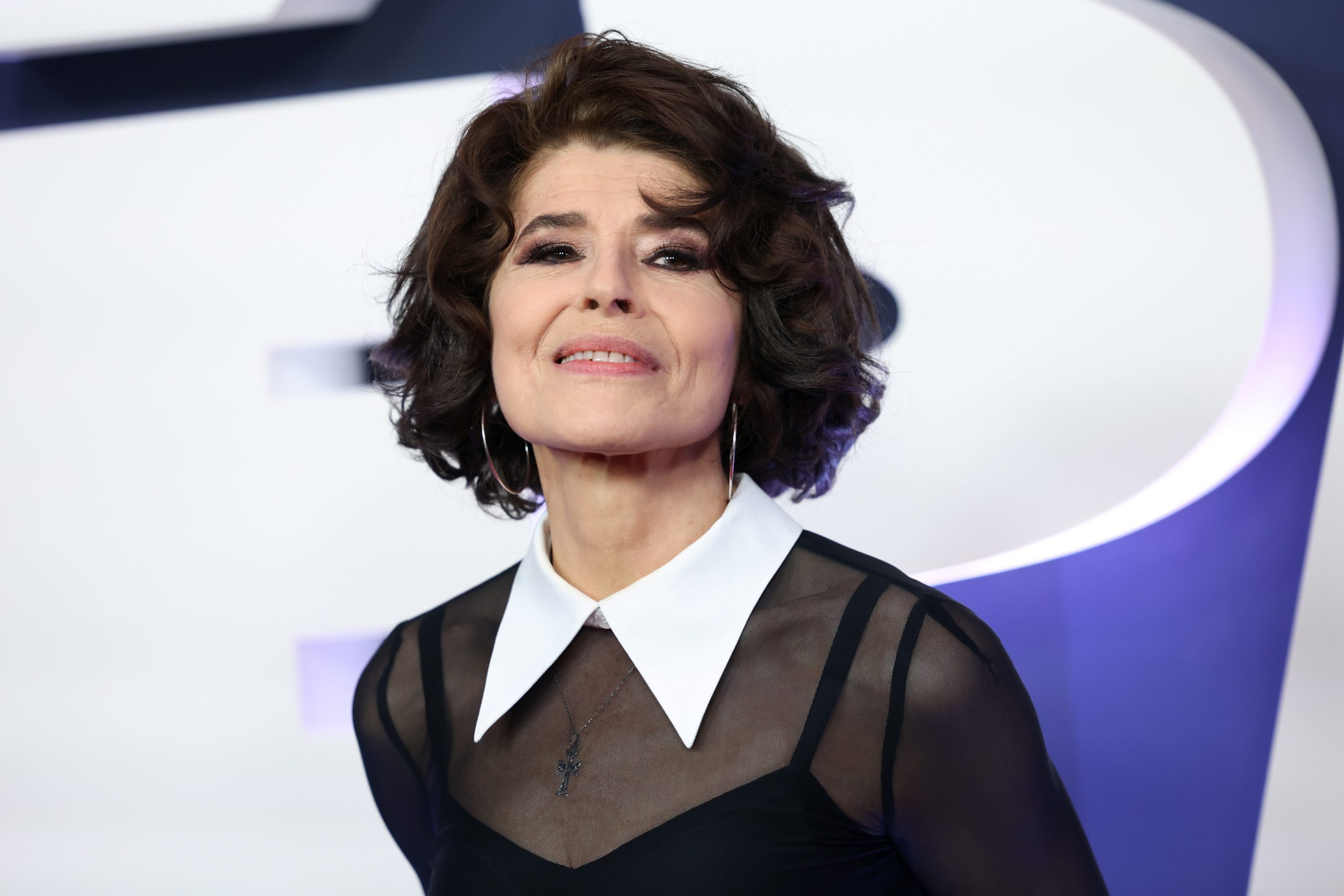 Fanny Ardant photo