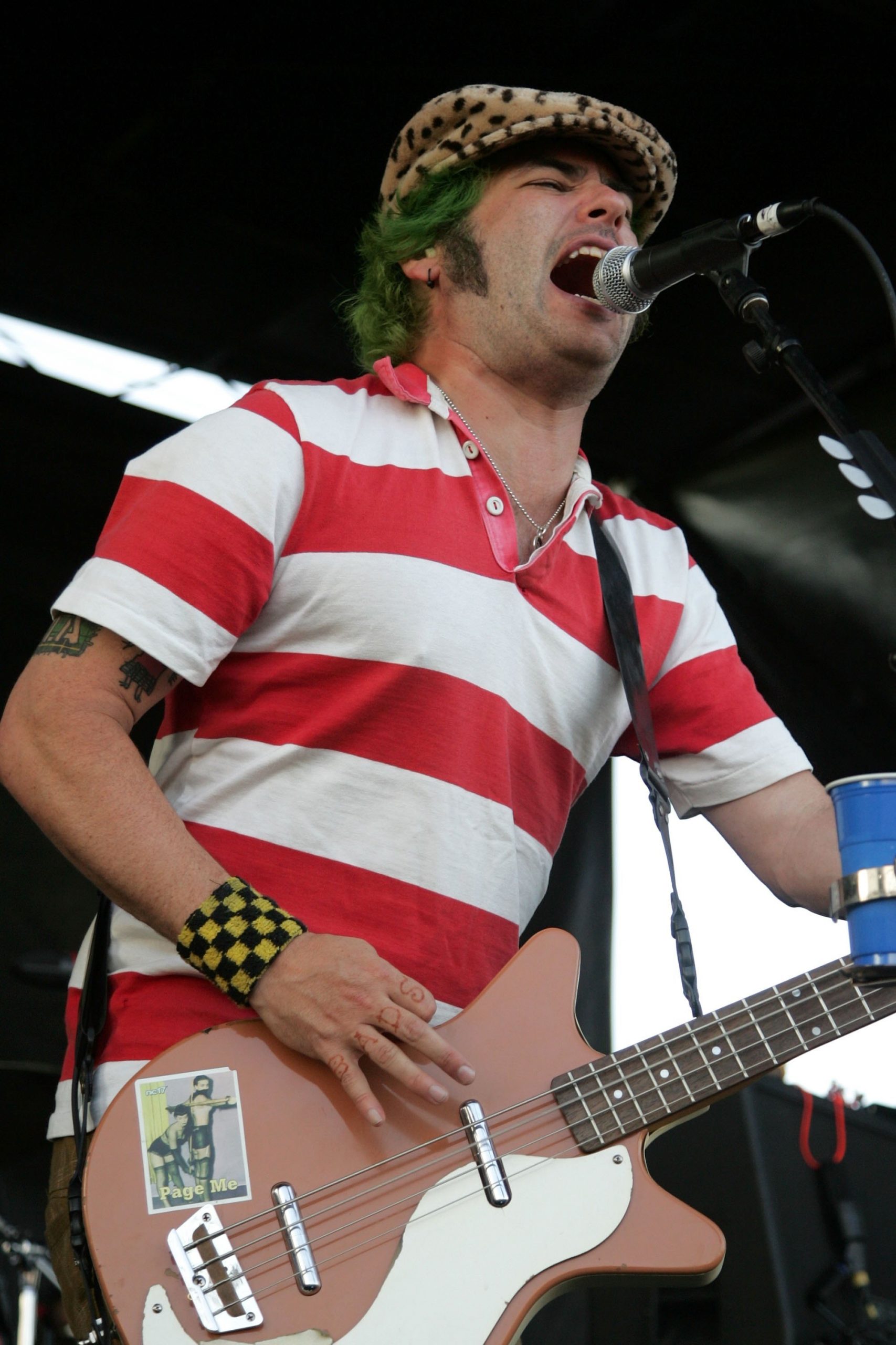 Fat Mike photo