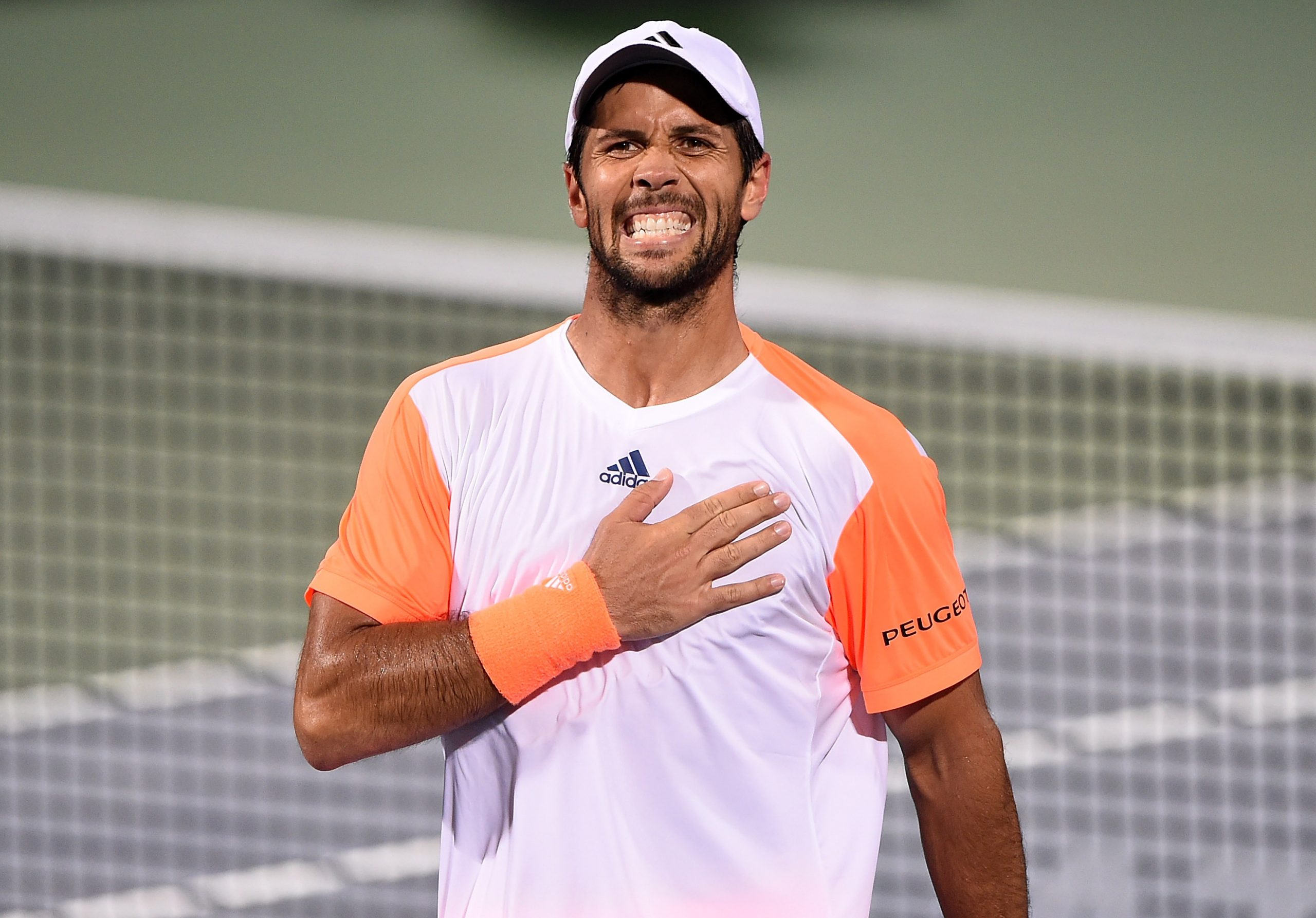 Fernando Verdasco photo