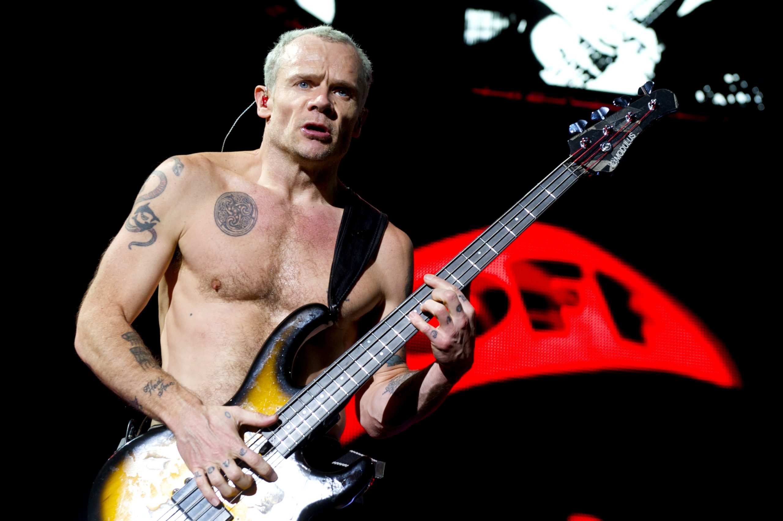 Flea photo